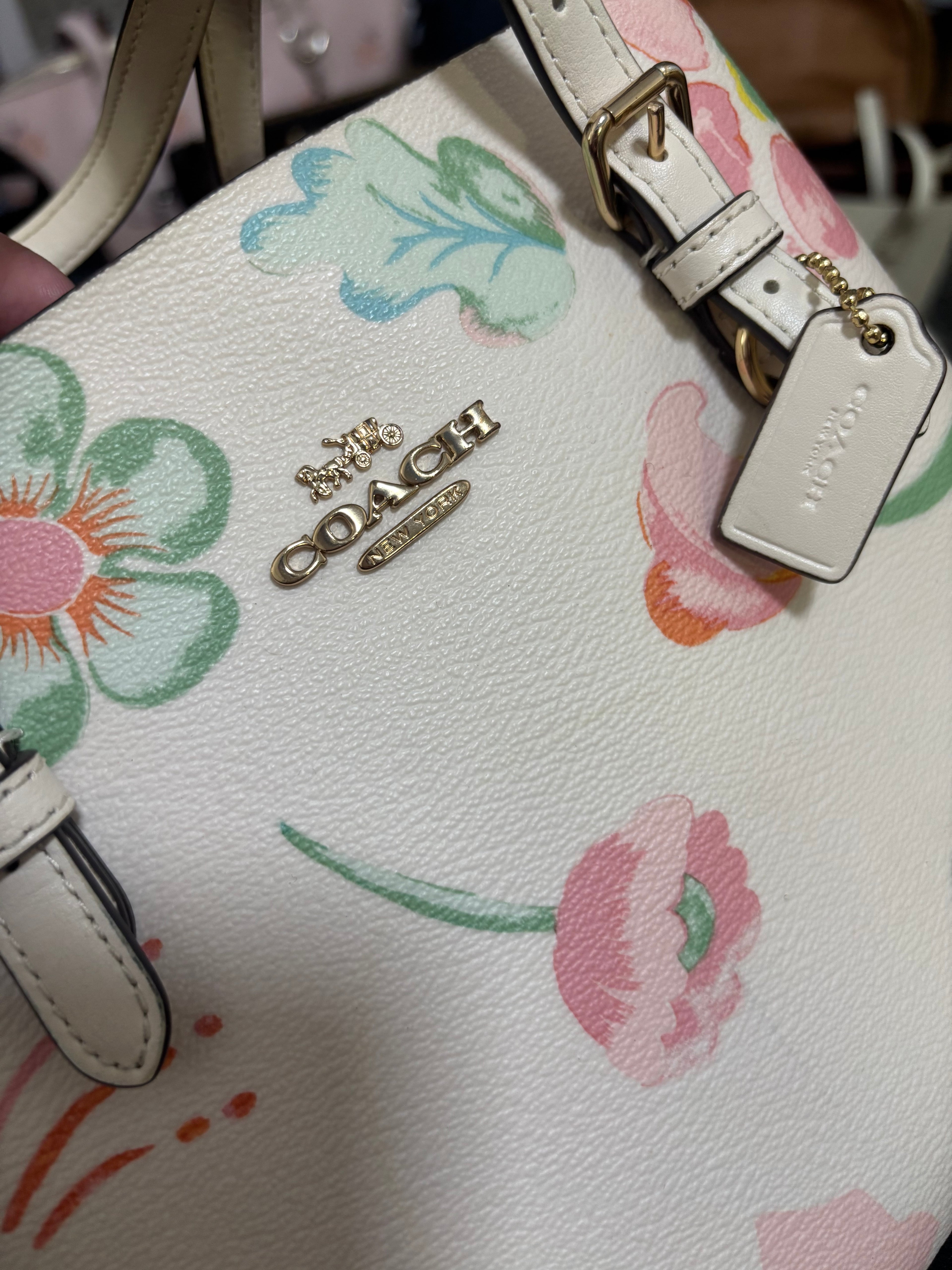 COACH Mollie Tote 25 Dreamy Land Floral Print/Chalk Multi