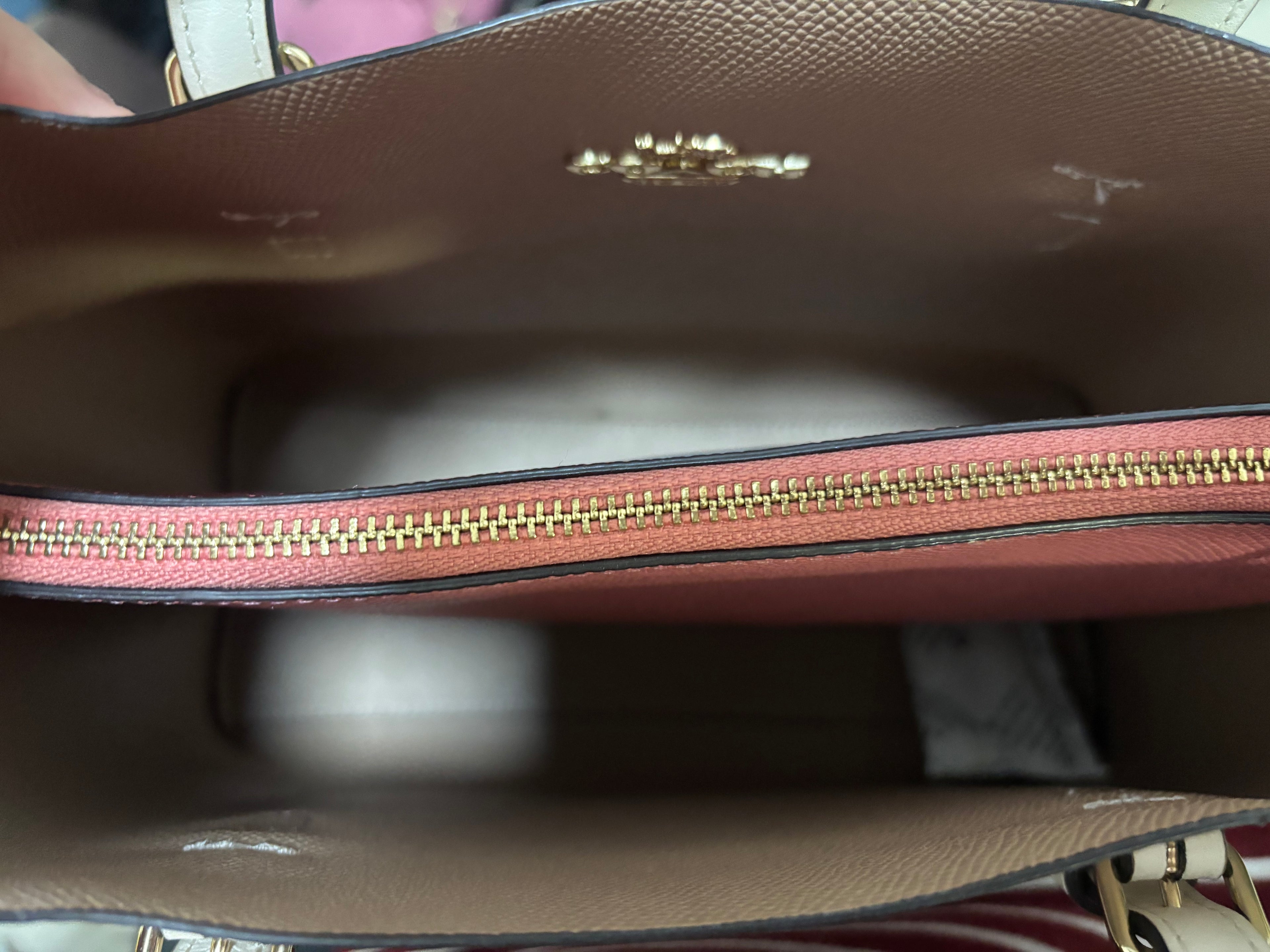 COACH Mollie Tote 25 Dreamy Land Floral Print/Chalk Multi