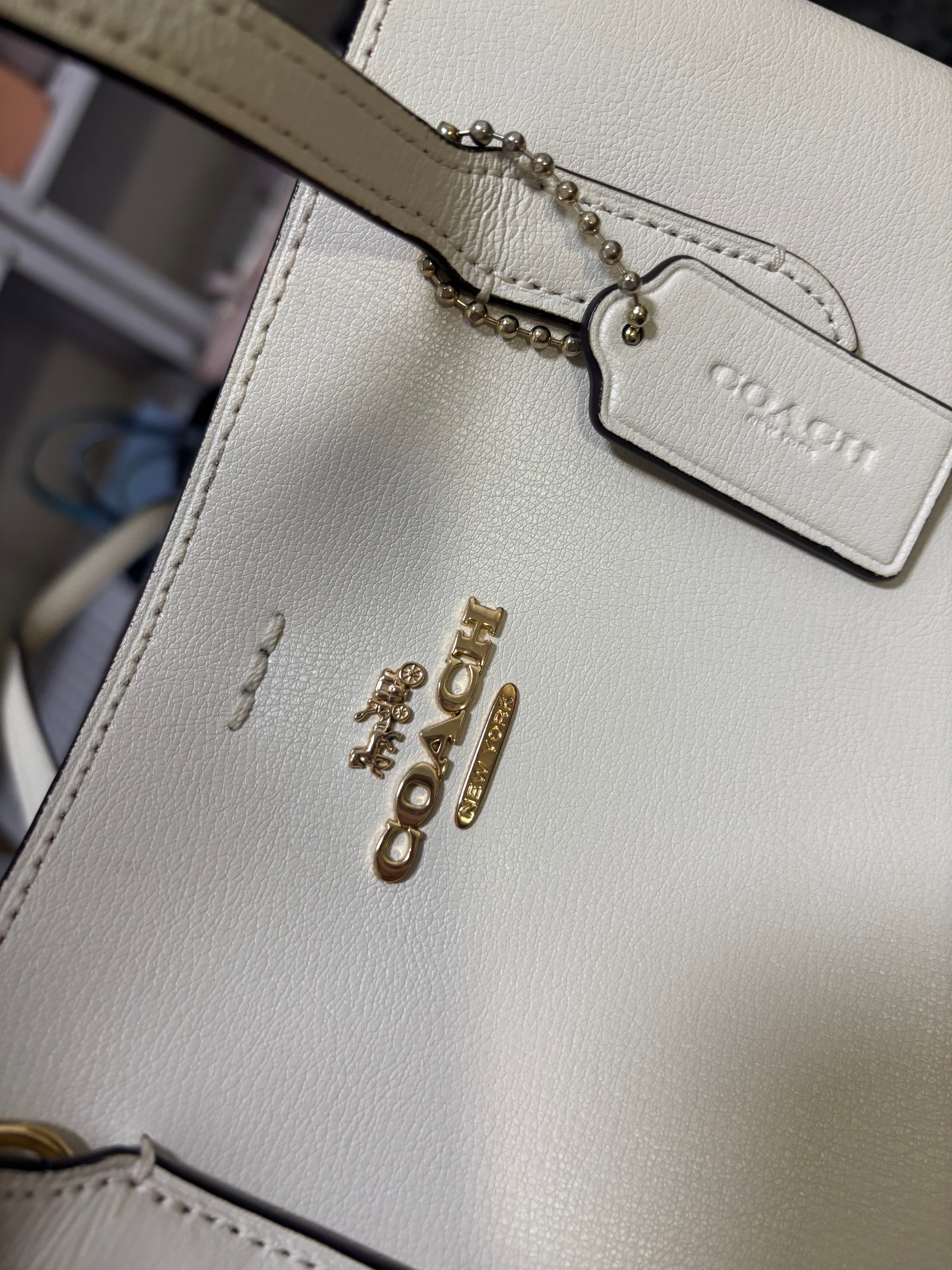 COACH Avenue Carryall Tote