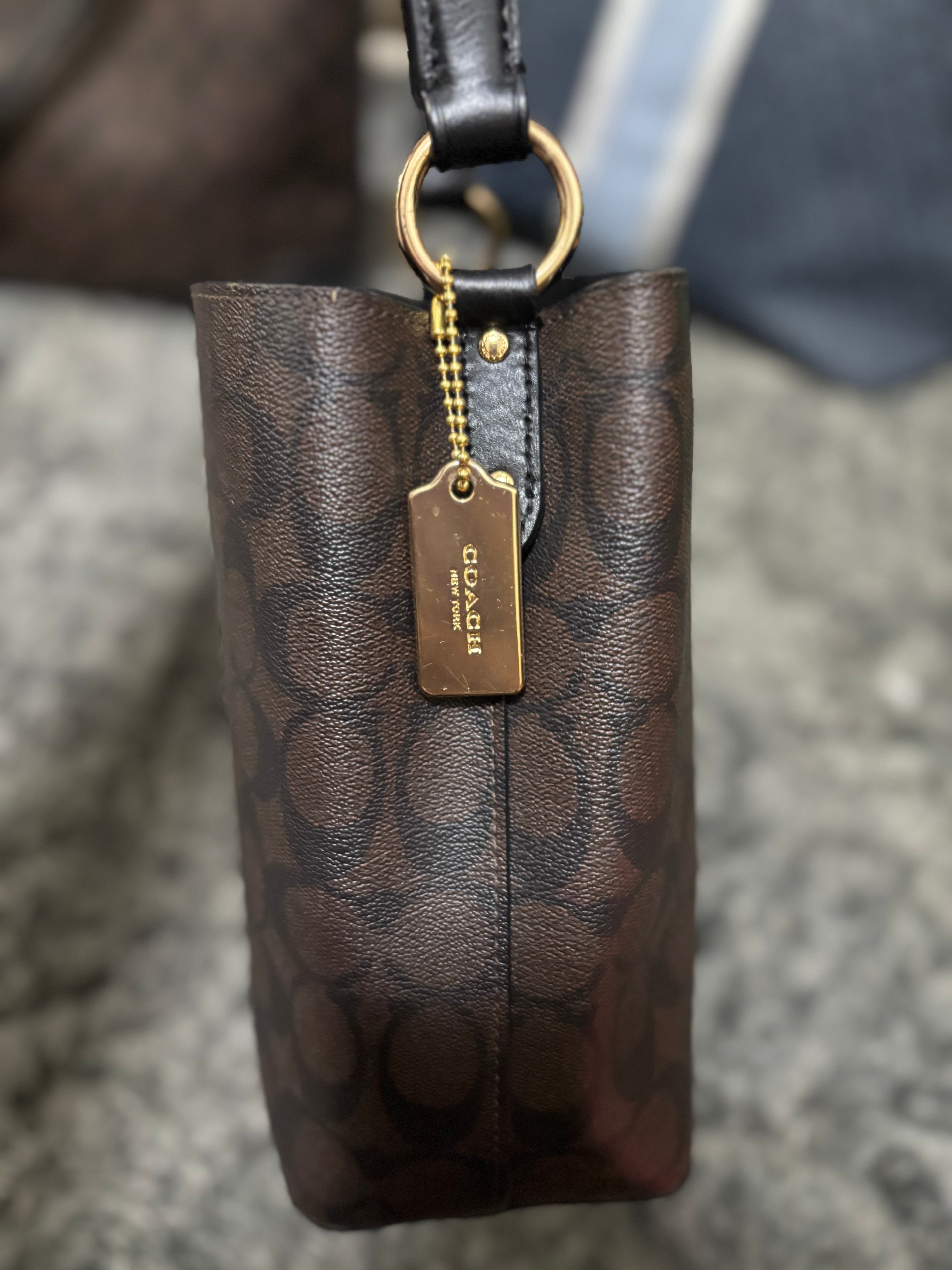 COACH Mollie Bucket Bag 22 In Signature Mahogany