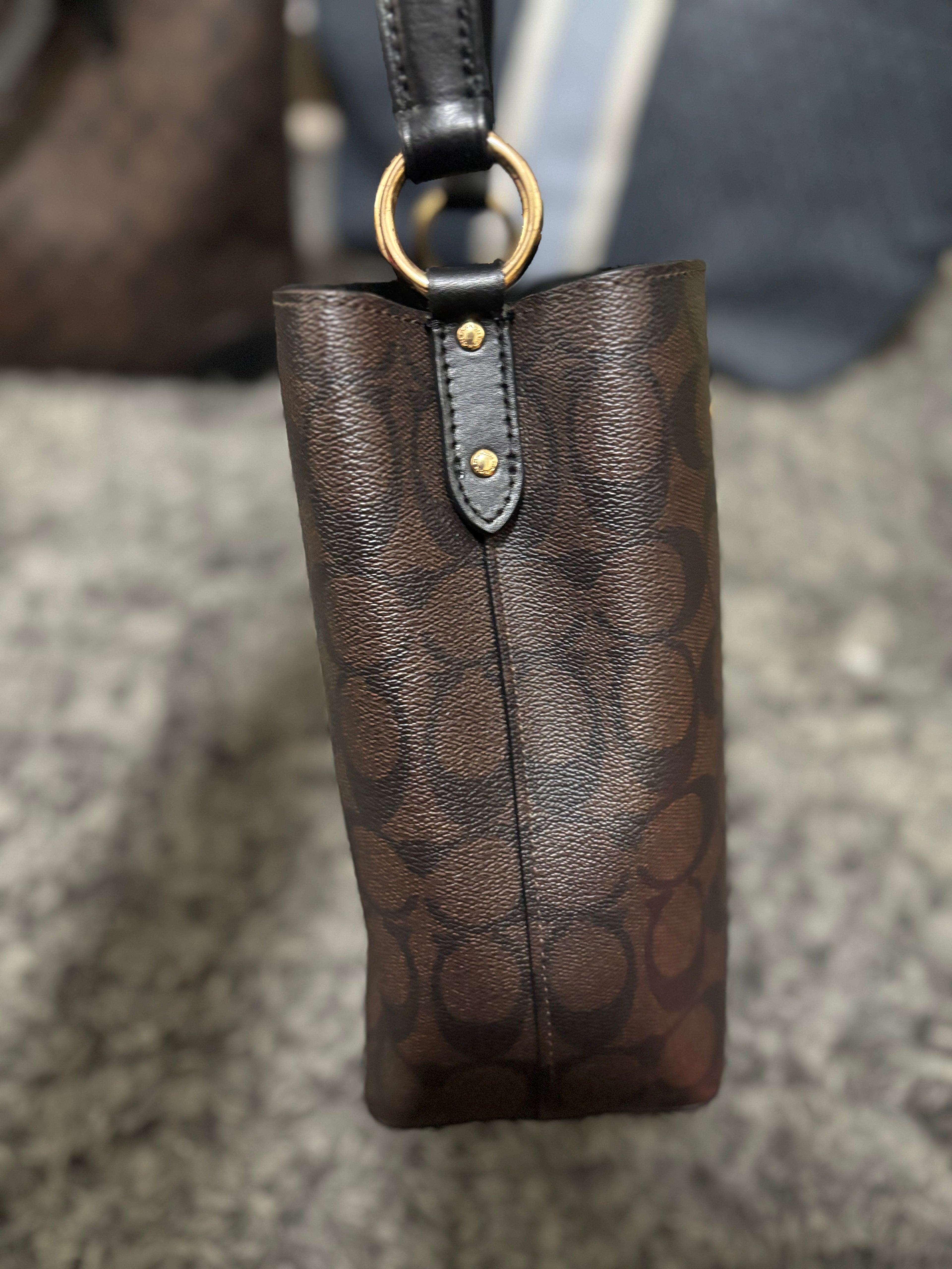 COACH Mollie Bucket Bag 22 In Signature Mahogany