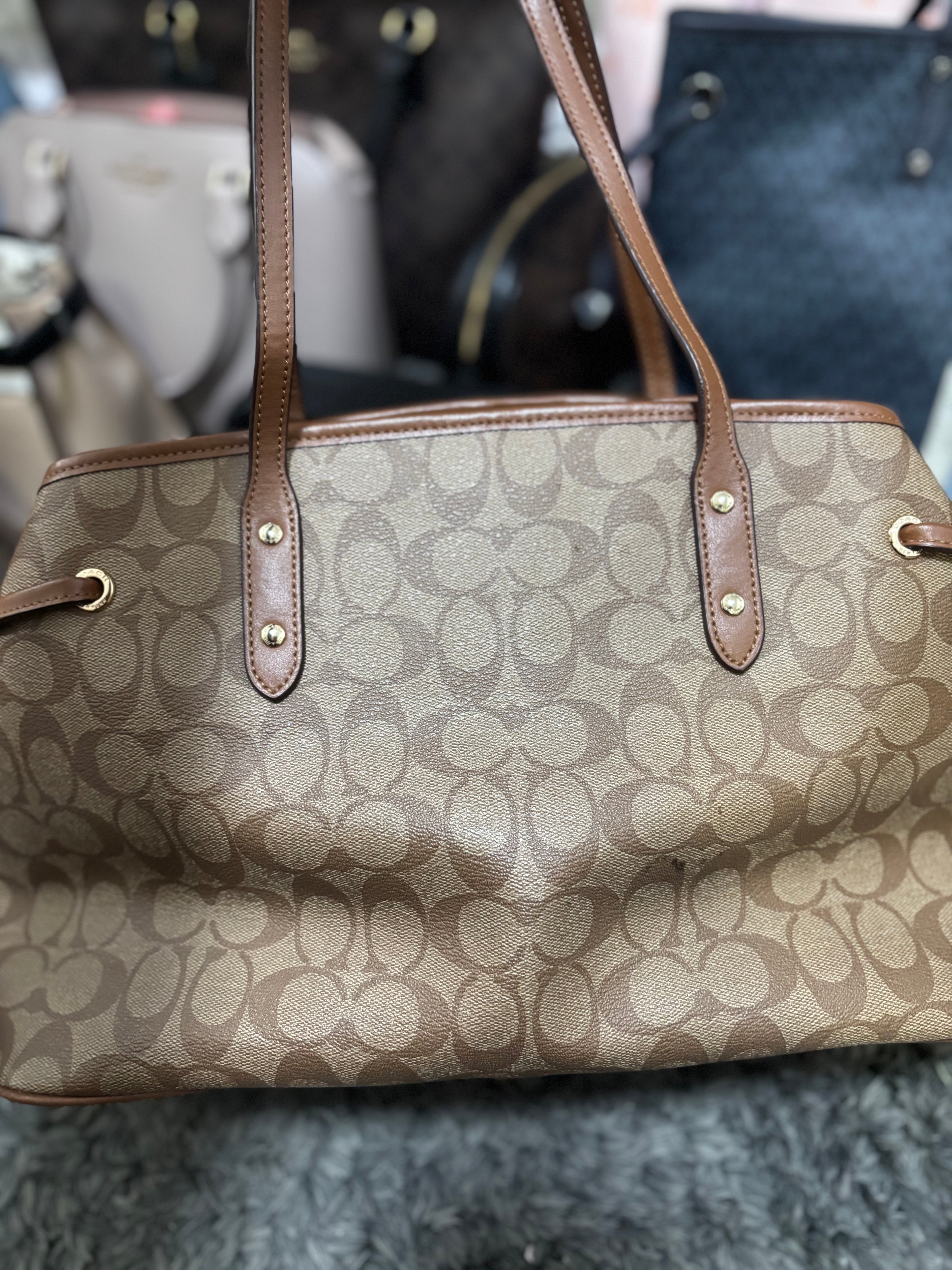 COACH Drawstring Carryall in Signature