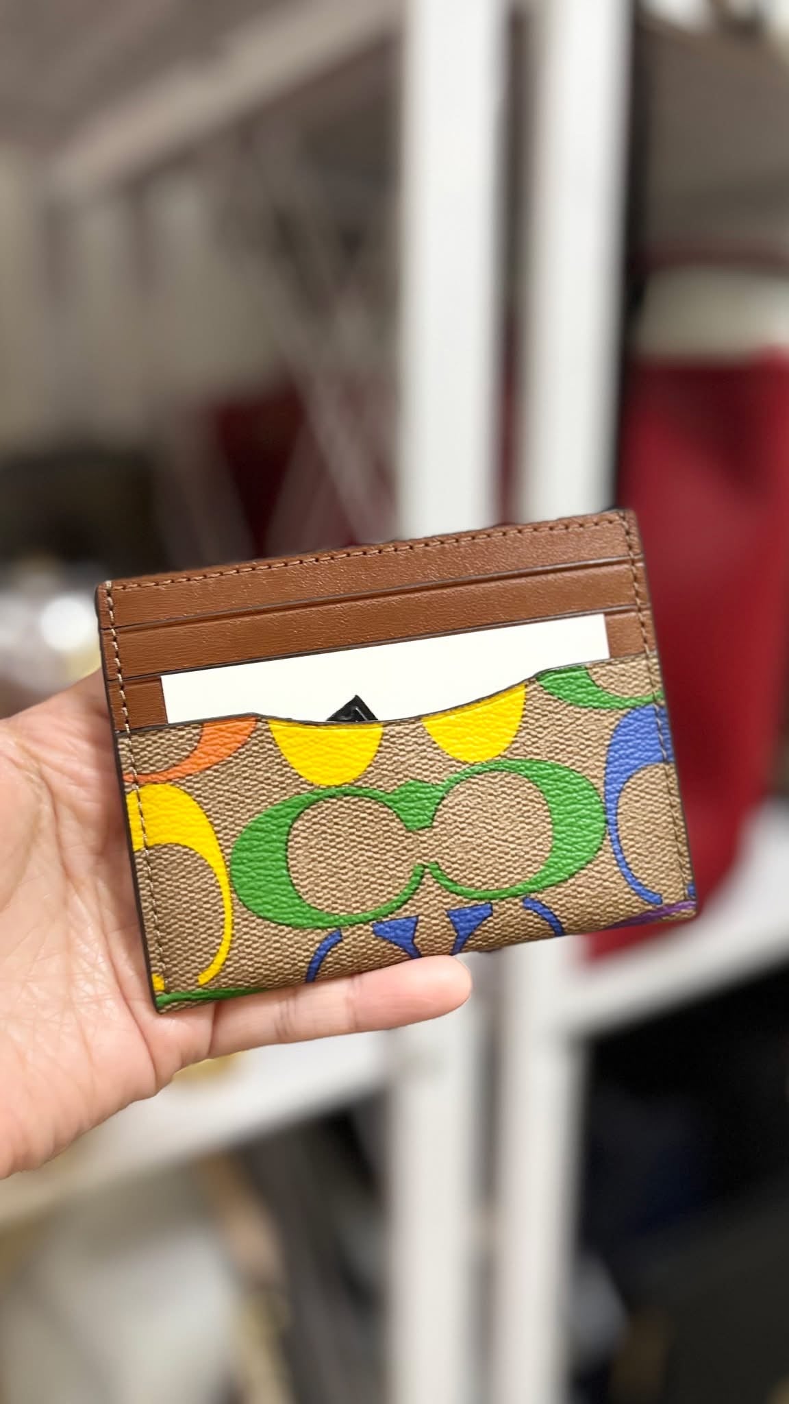 COACH Flat Cardholder Rainbow