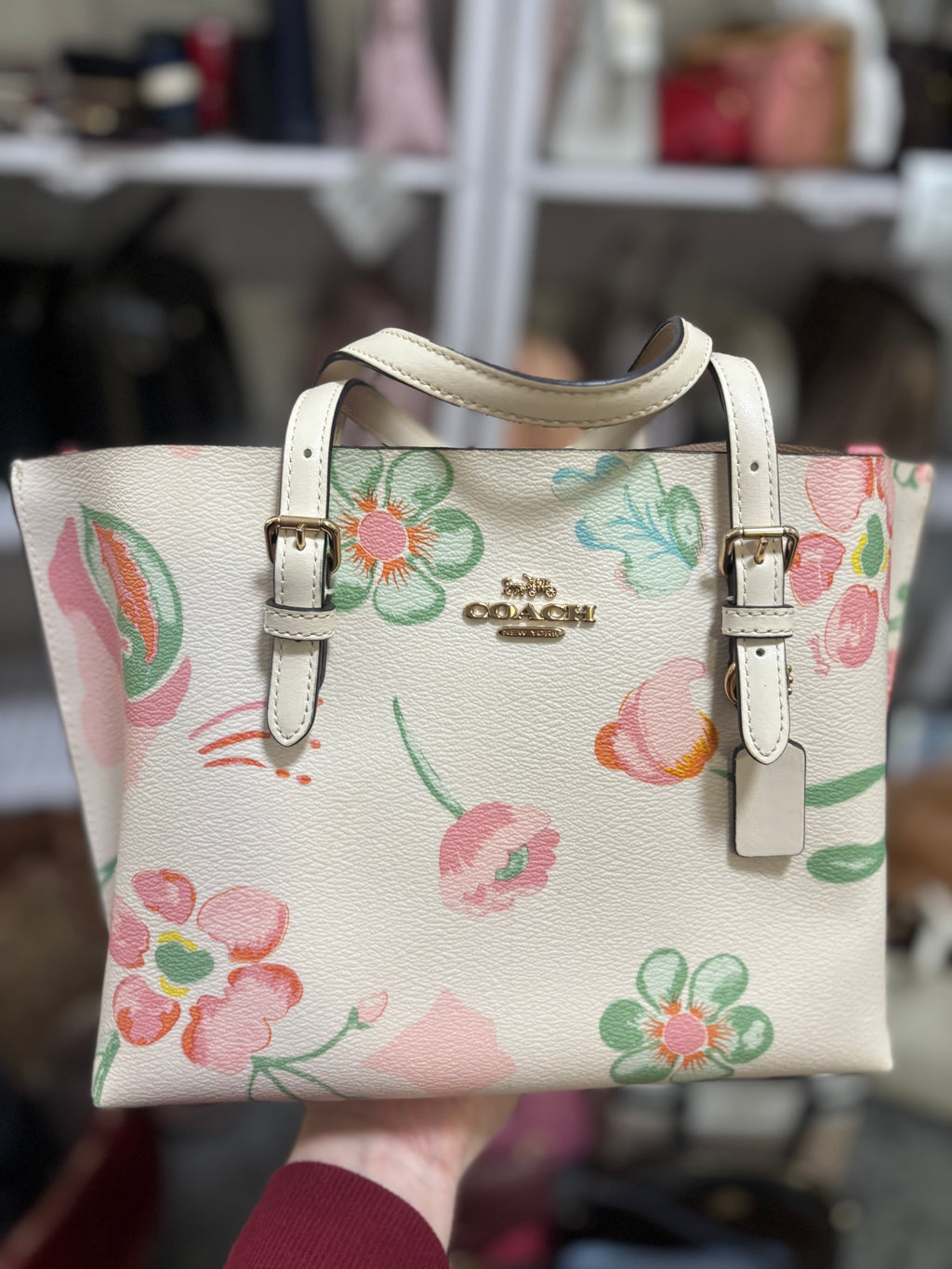 COACH Mollie Tote 25 Dreamy Land Floral Print/Chalk Multi