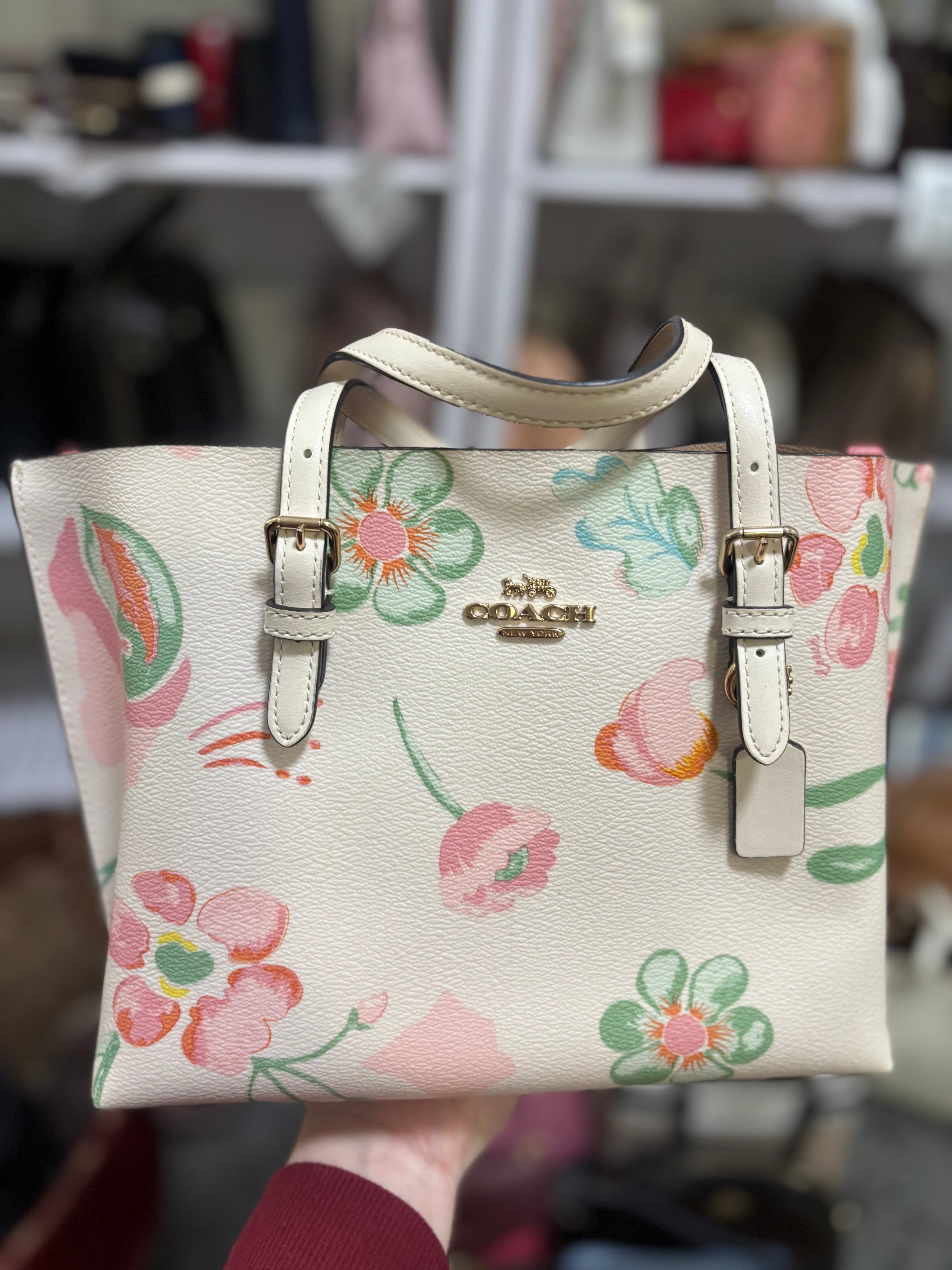 COACH Mollie Tote 25 Dreamy Land Floral Print/Chalk Multi
