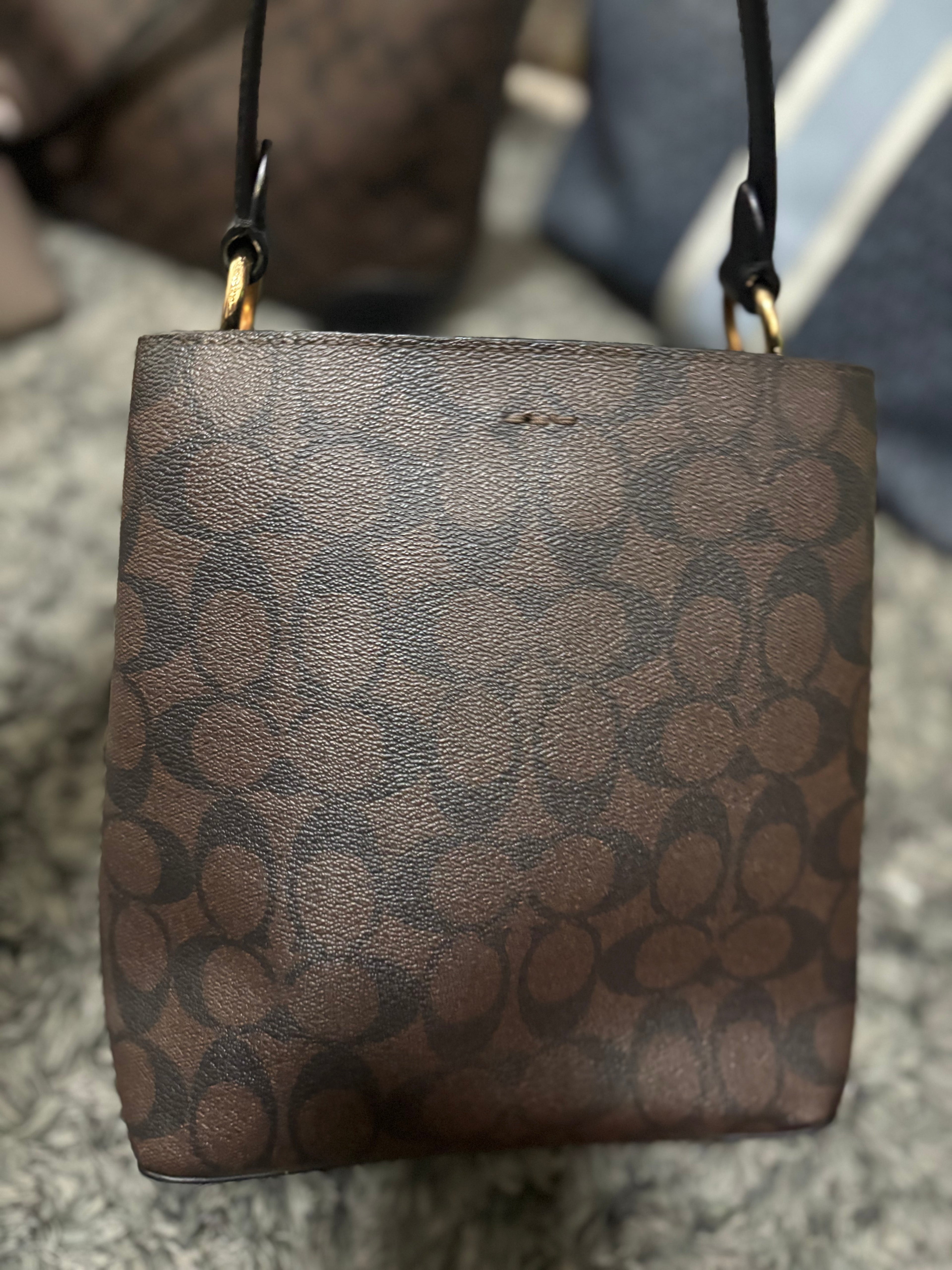 COACH Mollie Bucket Bag 22 In Signature Mahogany
