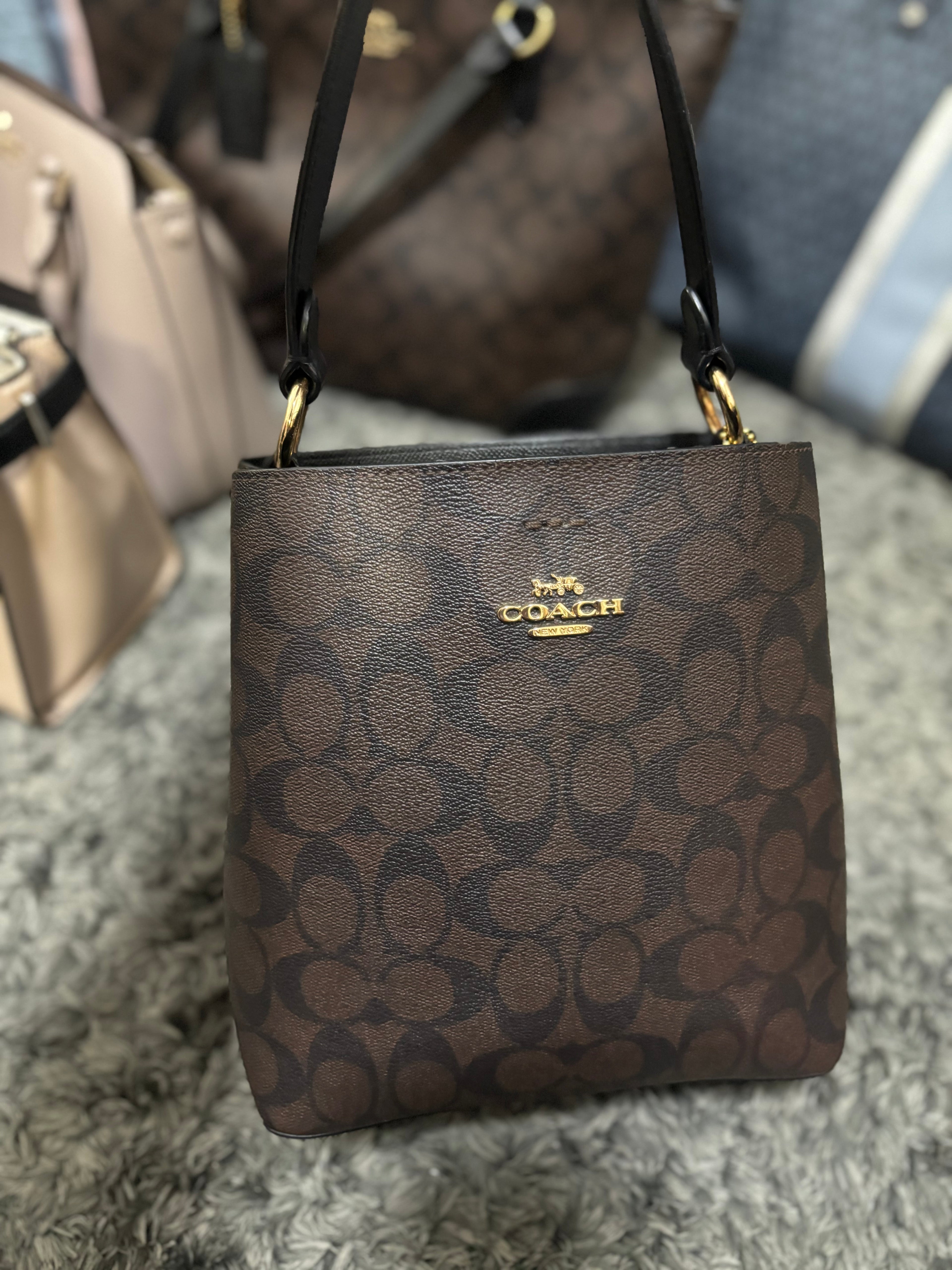 COACH Mollie Bucket Bag 22 In Signature Mahogany