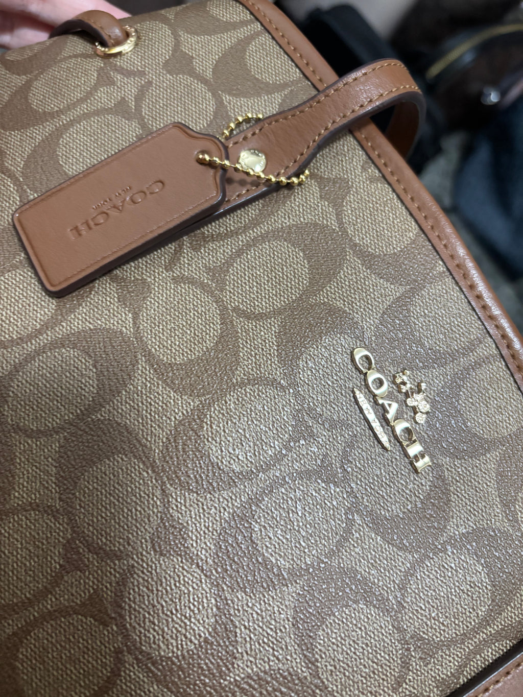 COACH Drawstring Carryall in Signature