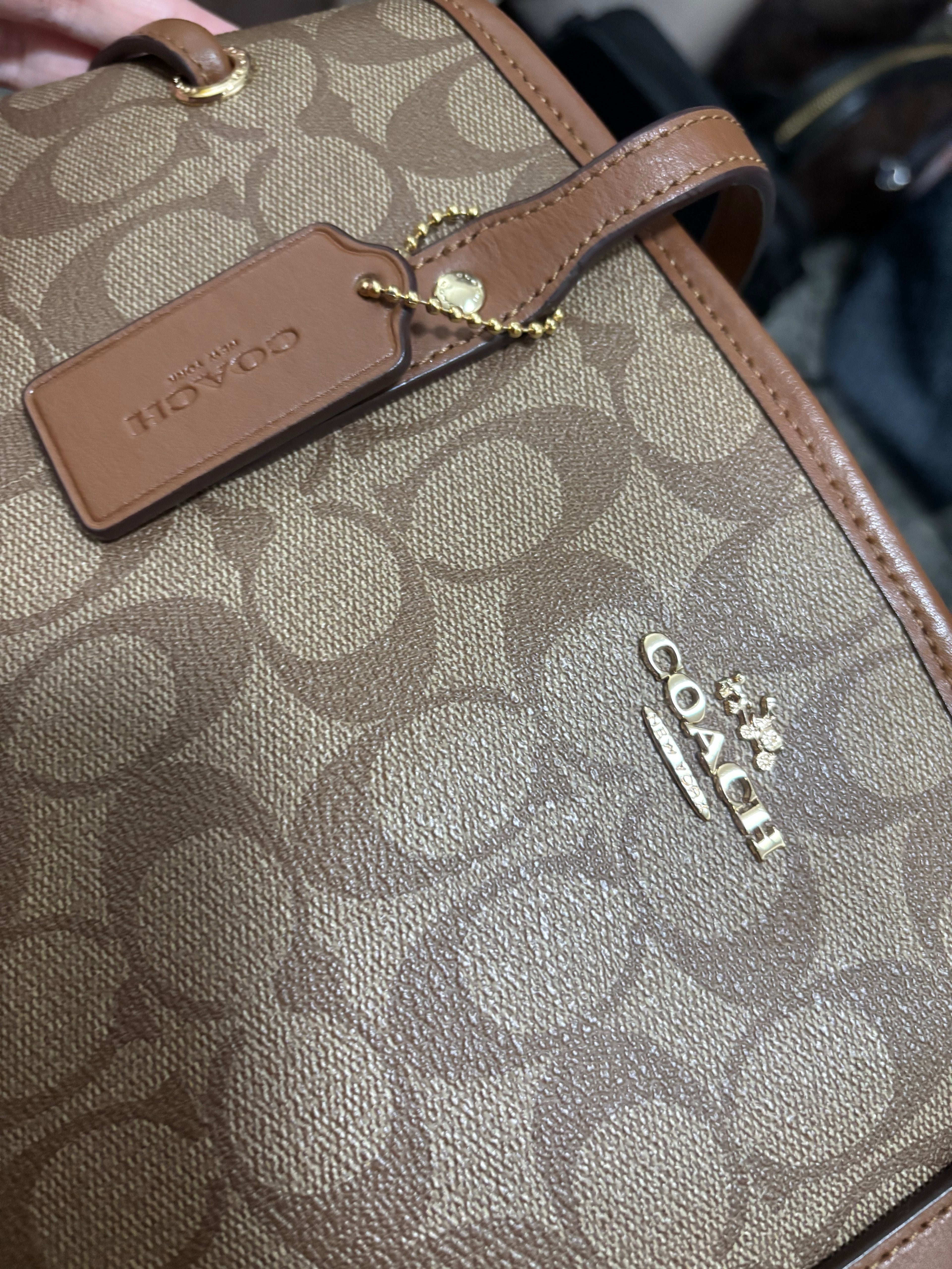 COACH Drawstring Carryall in Signature
