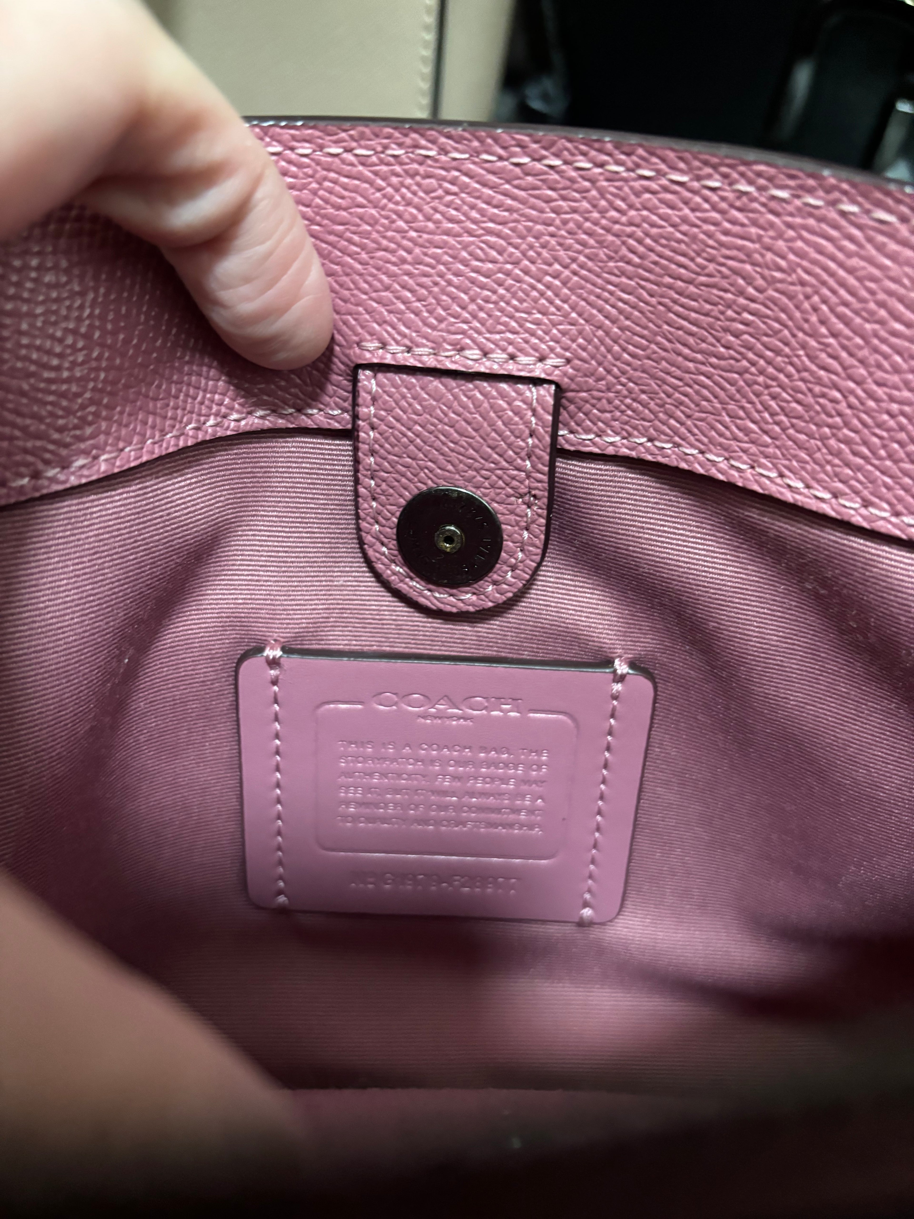 COACH Mini Sage Carryall Satchel
