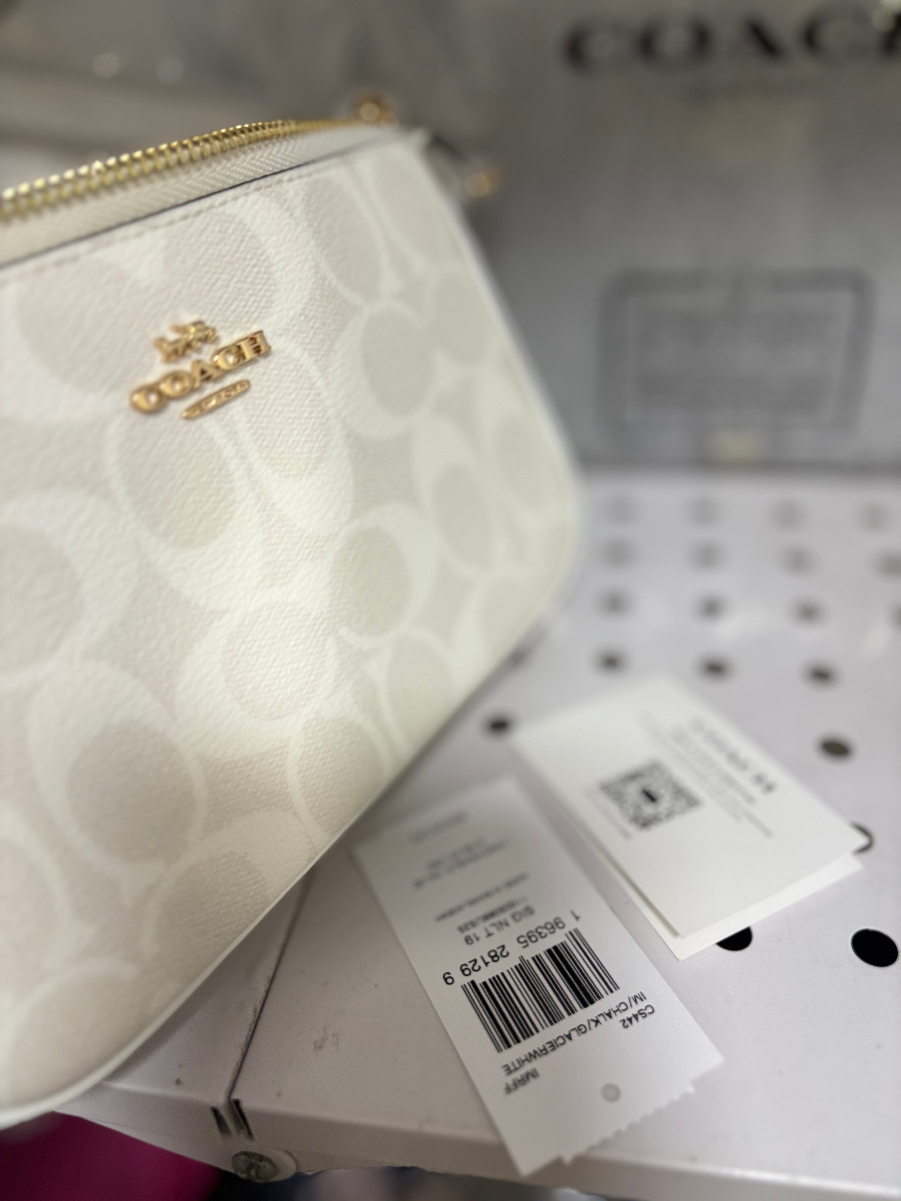 COACH Nolita 19 In Blocked Signature Canvas In Glacier White