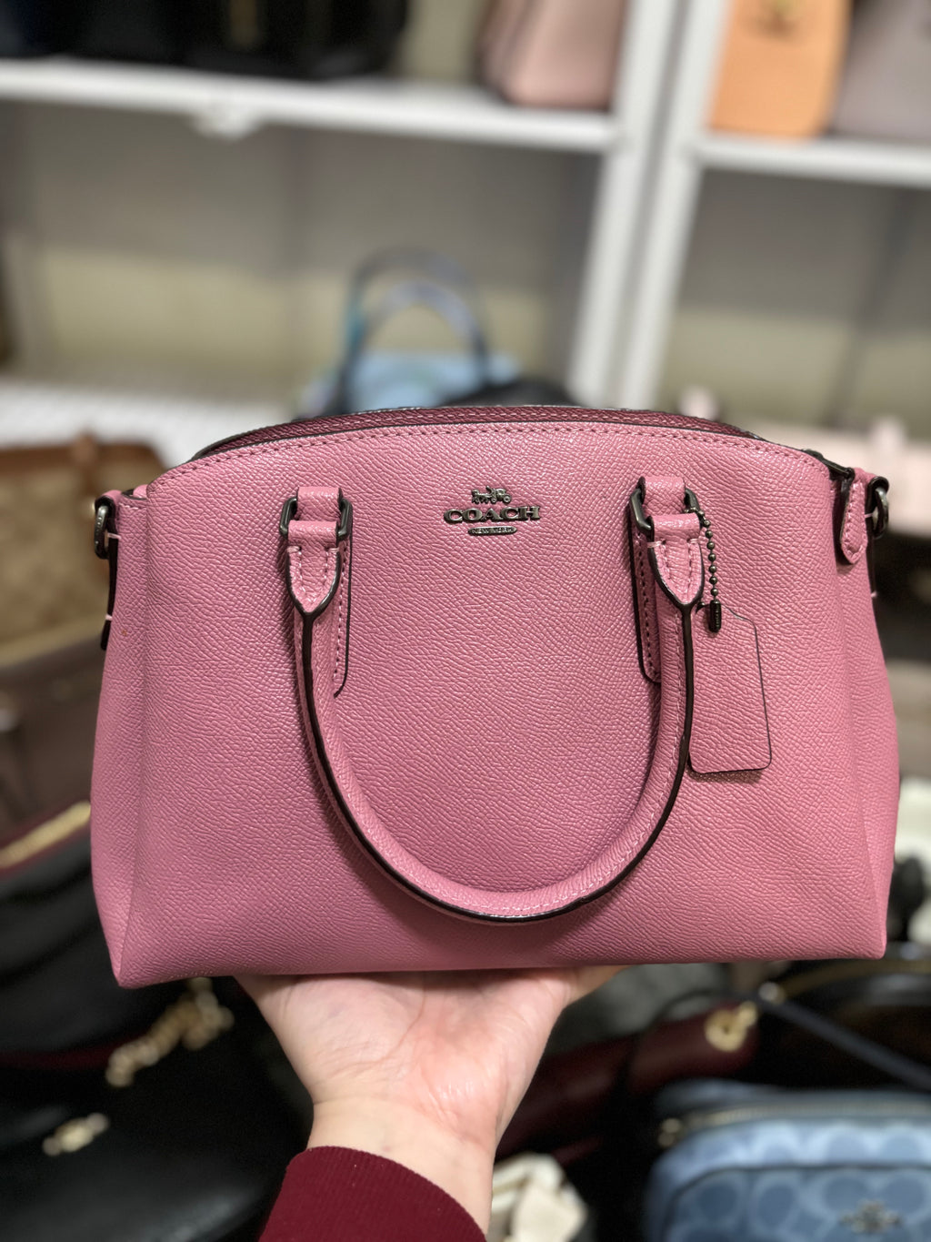 COACH Mini Sage Carryall Satchel