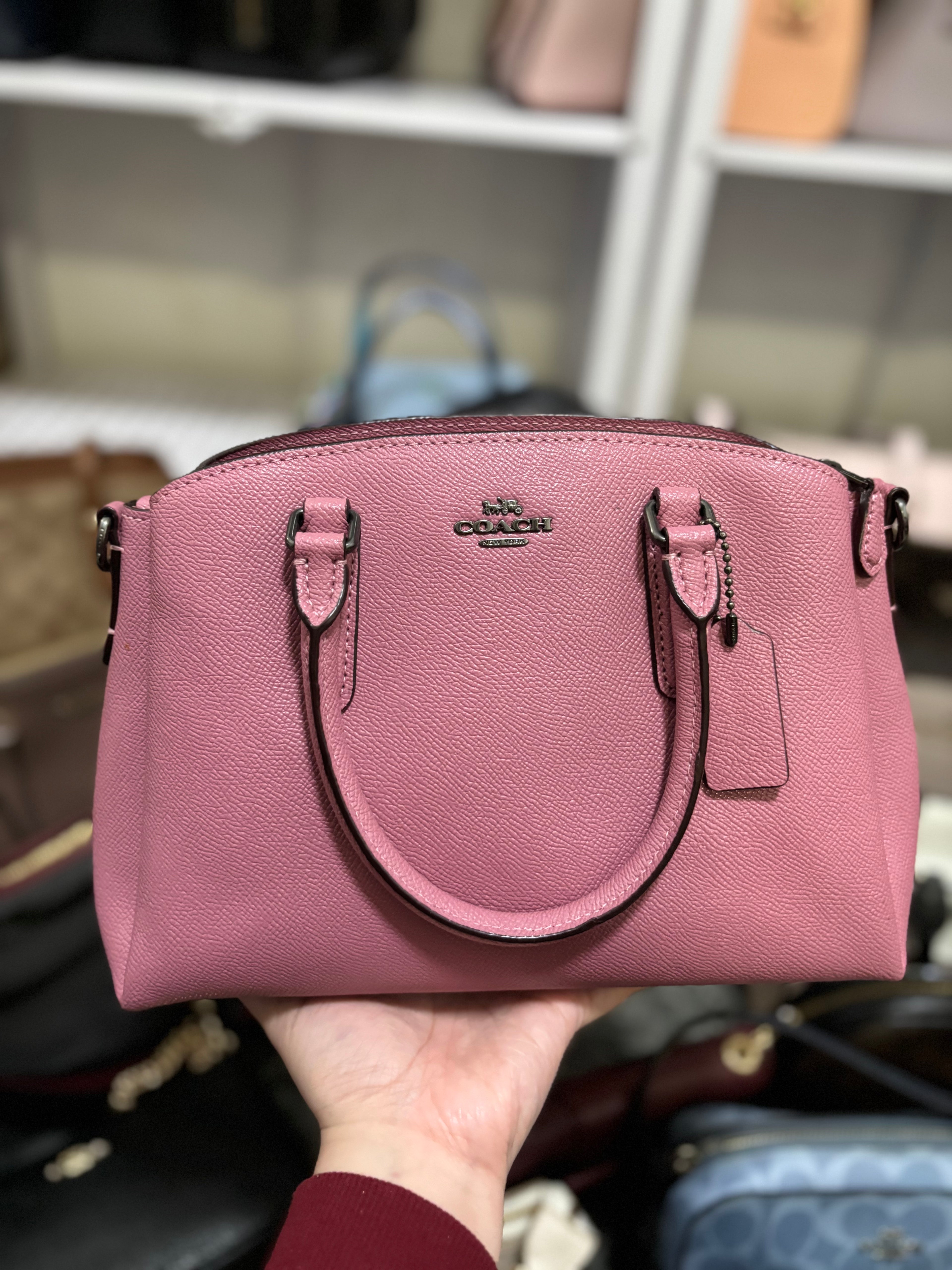 COACH Mini Sage Carryall Satchel