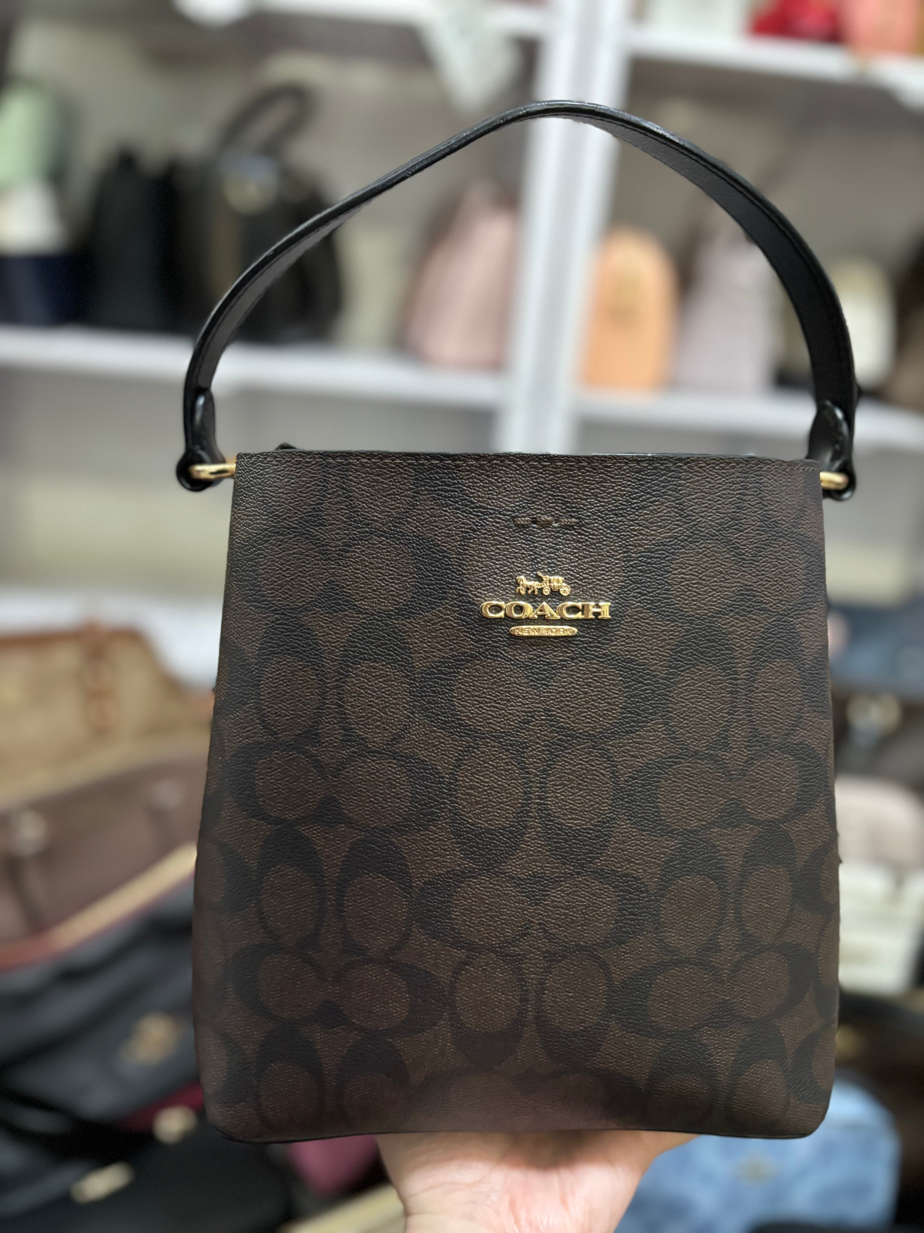 COACH Mollie Bucket Bag 22 In Signature Mahogany