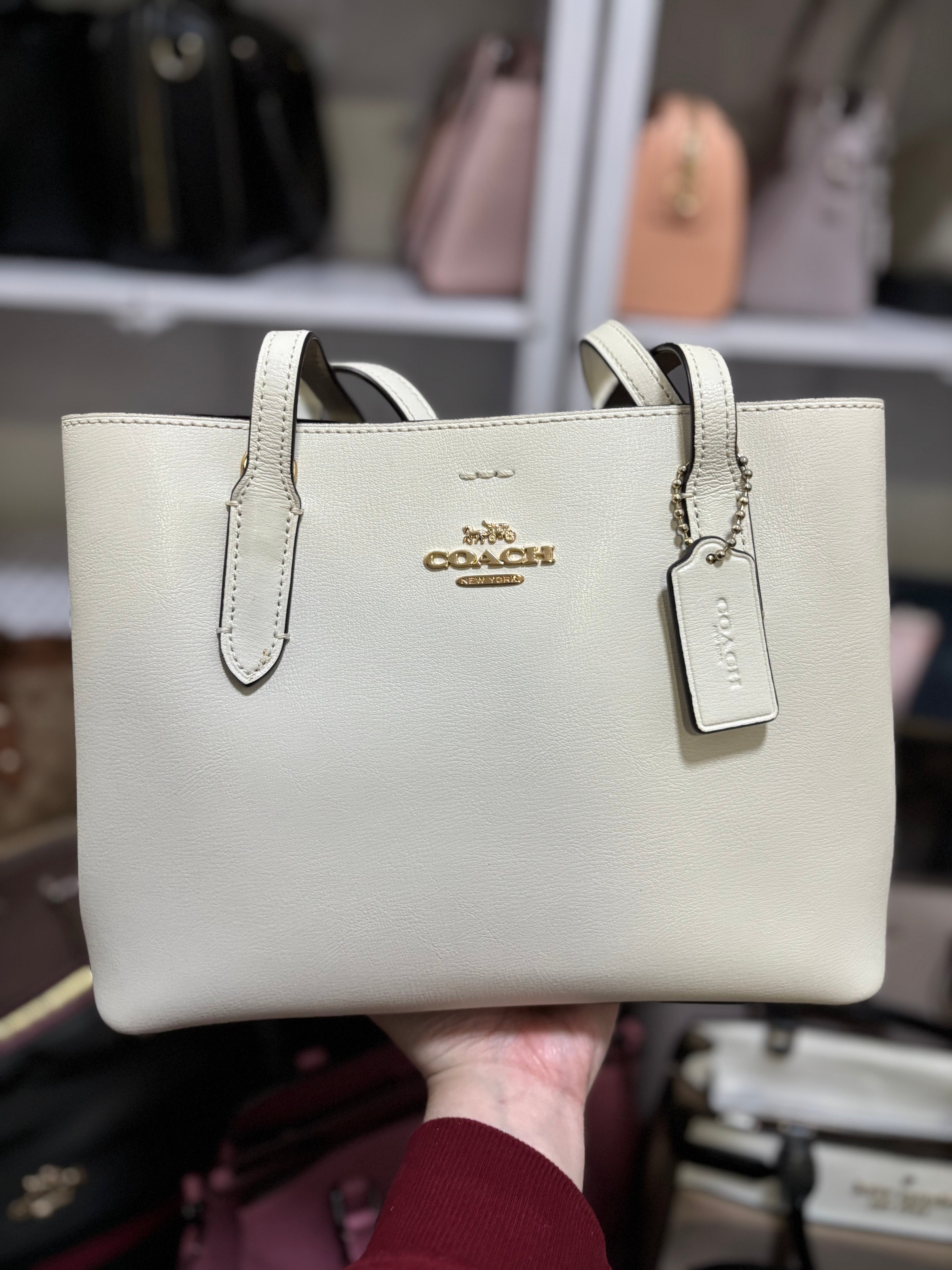 COACH Avenue Carryall Tote