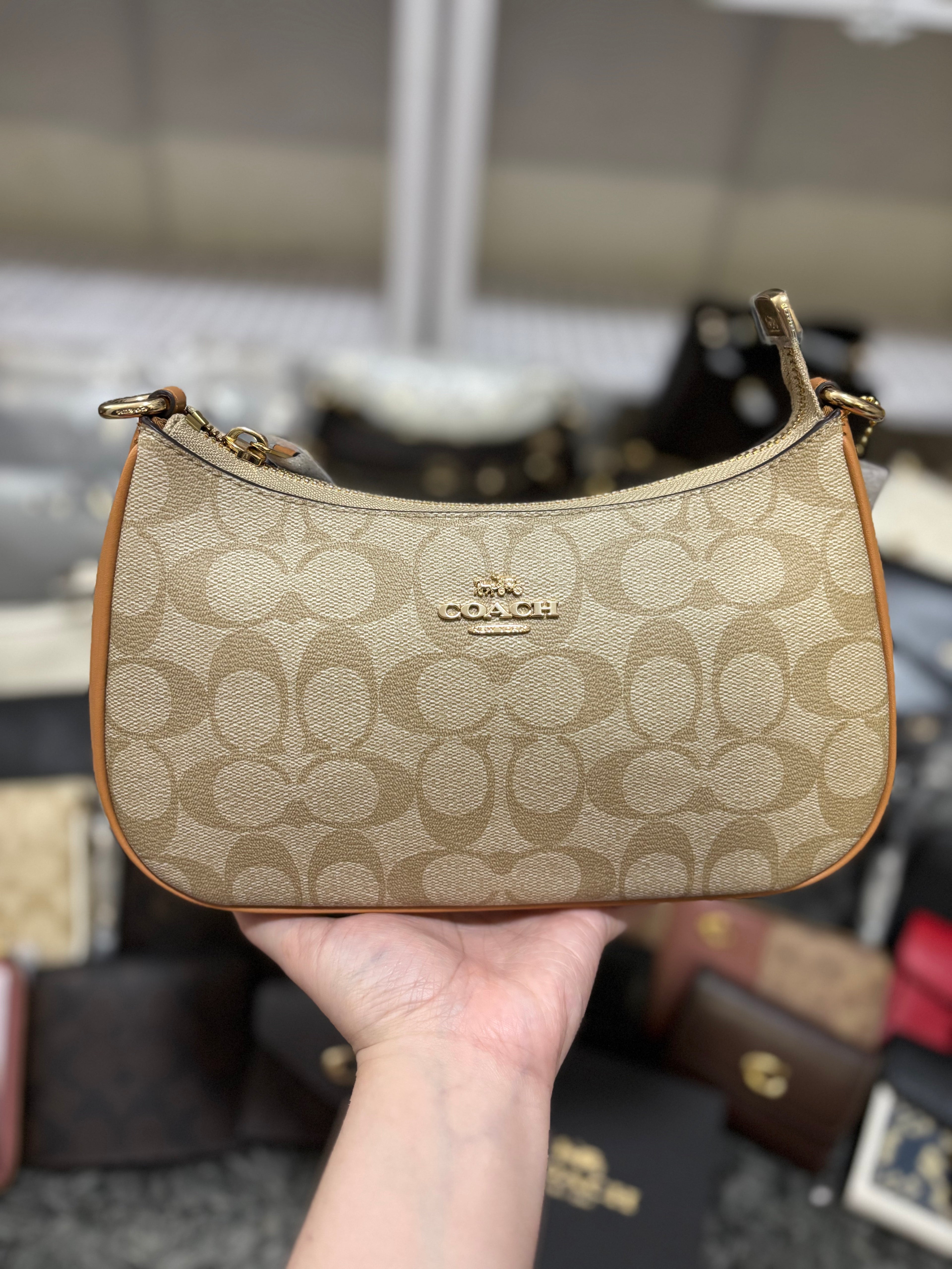 COACH Teri Signature Canvas Khaki/Saddle