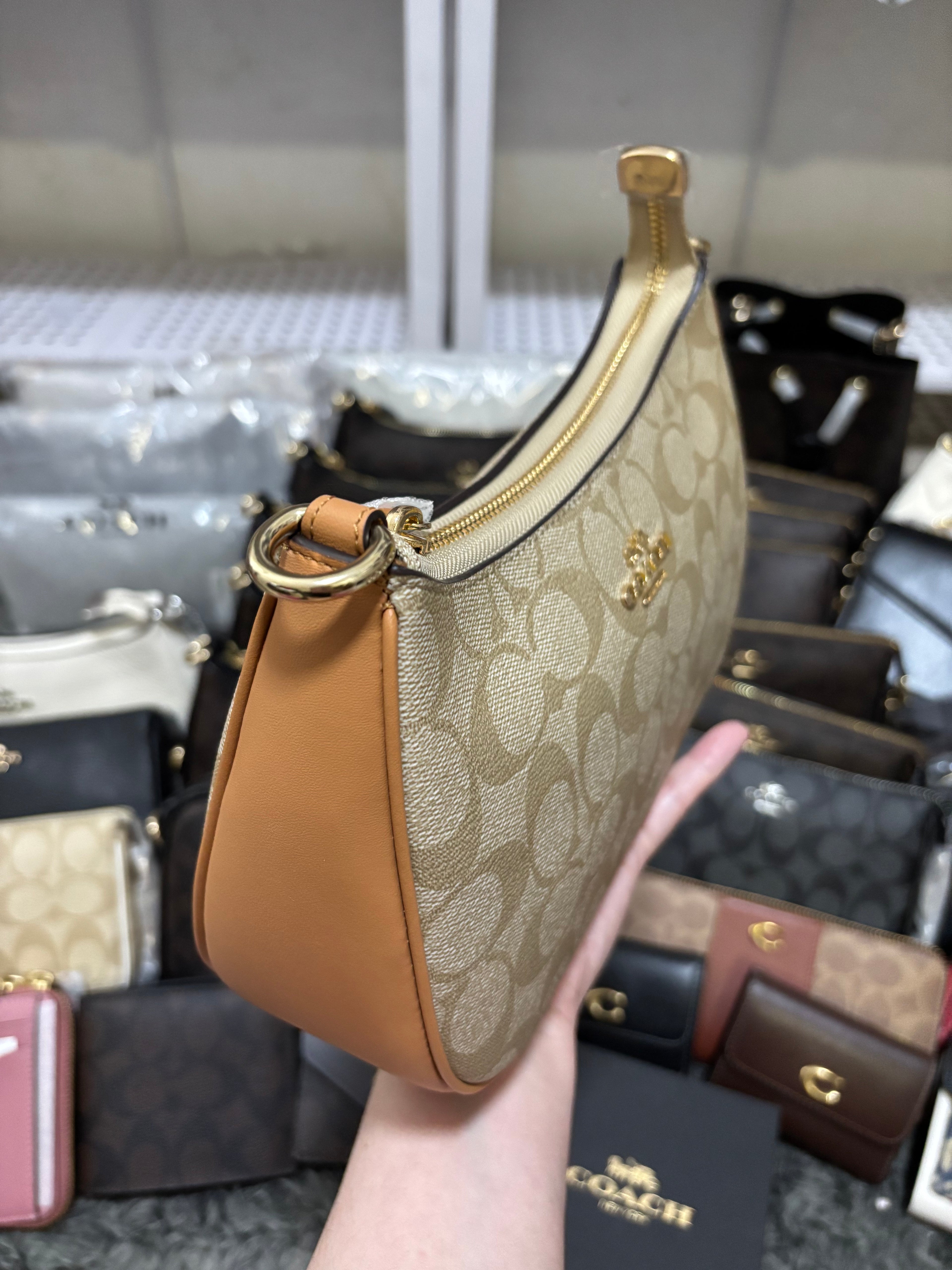 COACH Teri Signature Canvas Khaki/Saddle