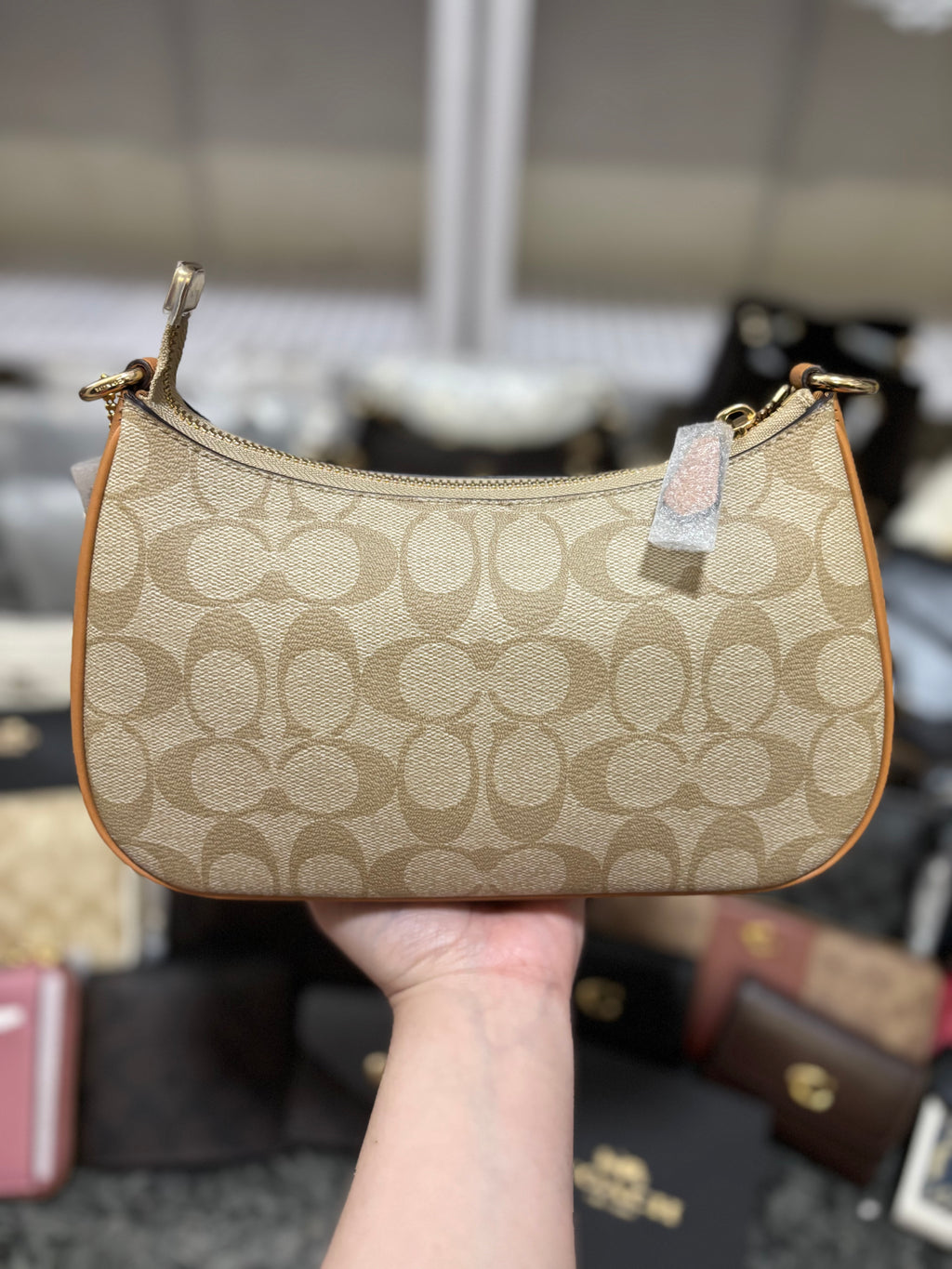 COACH Teri Signature Canvas Khaki/Saddle