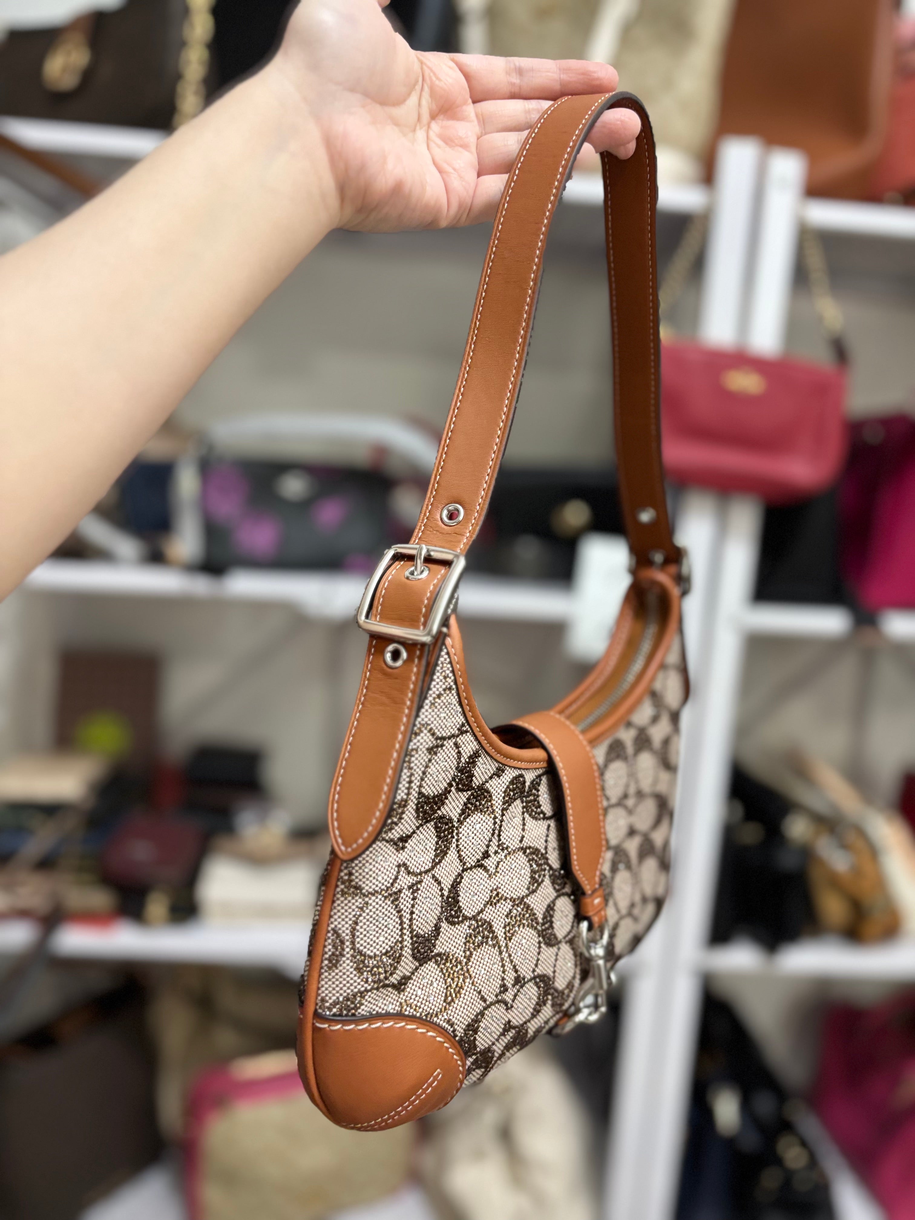 COACH Retail Hamptons Hobo Small Shoulder Brown Bag