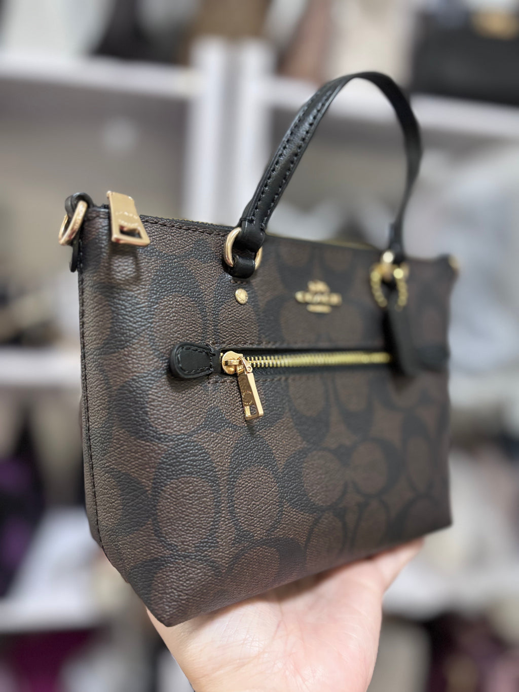 COACH Mini Gallery - Mahogany