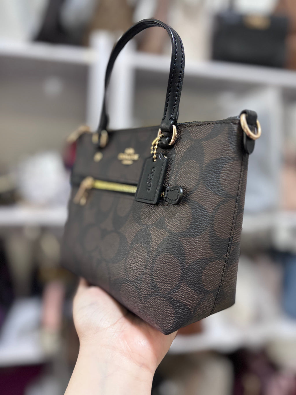 COACH Mini Gallery - Mahogany