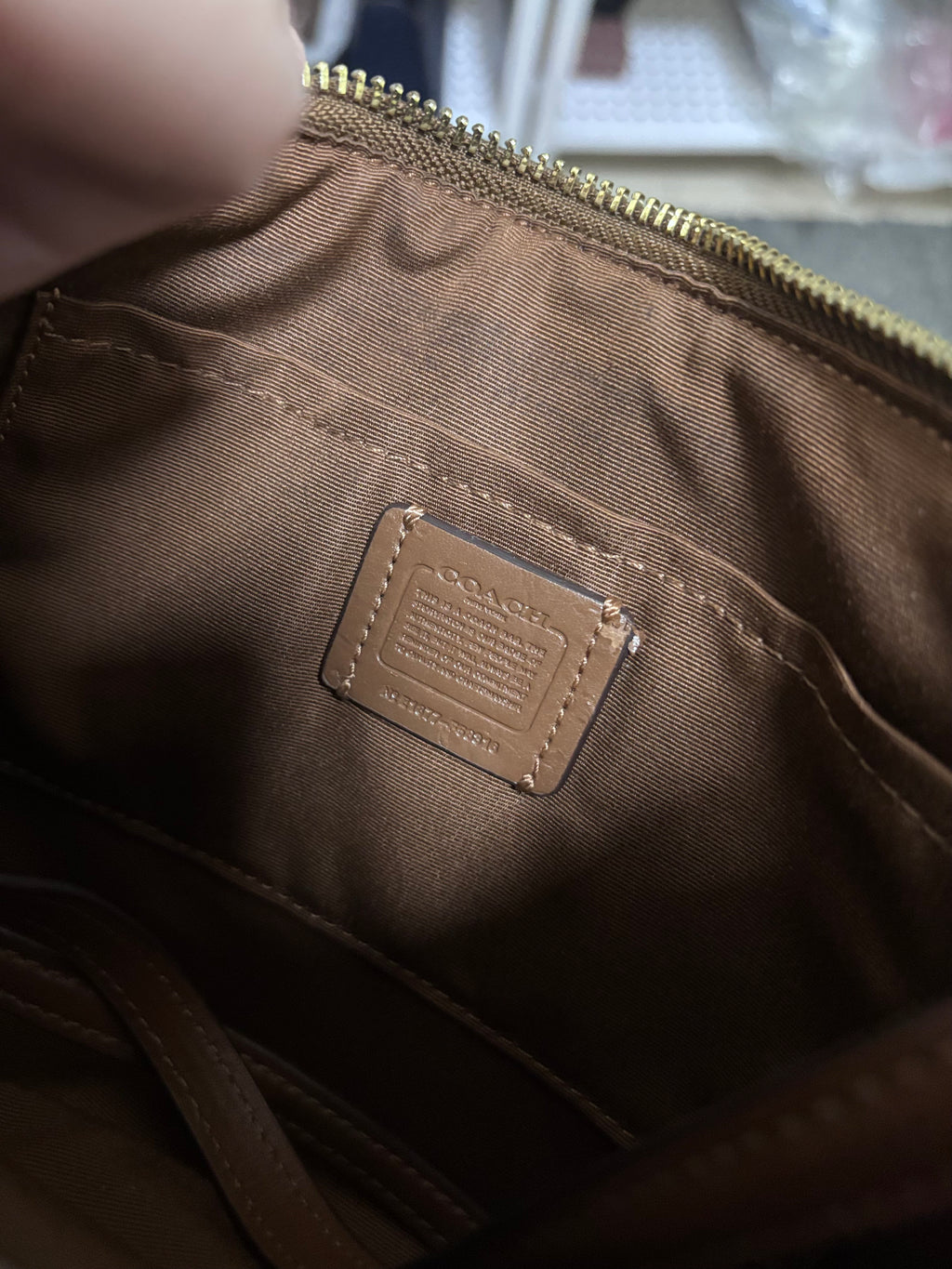 COACH East/West Crossbody Small Slim Khaki Brown