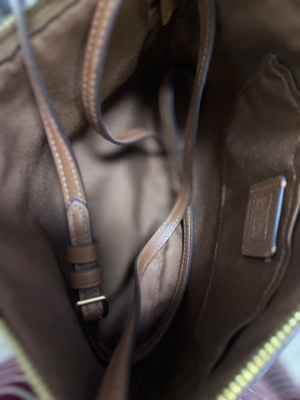 COACH East/West Crossbody Small Slim Khaki Brown