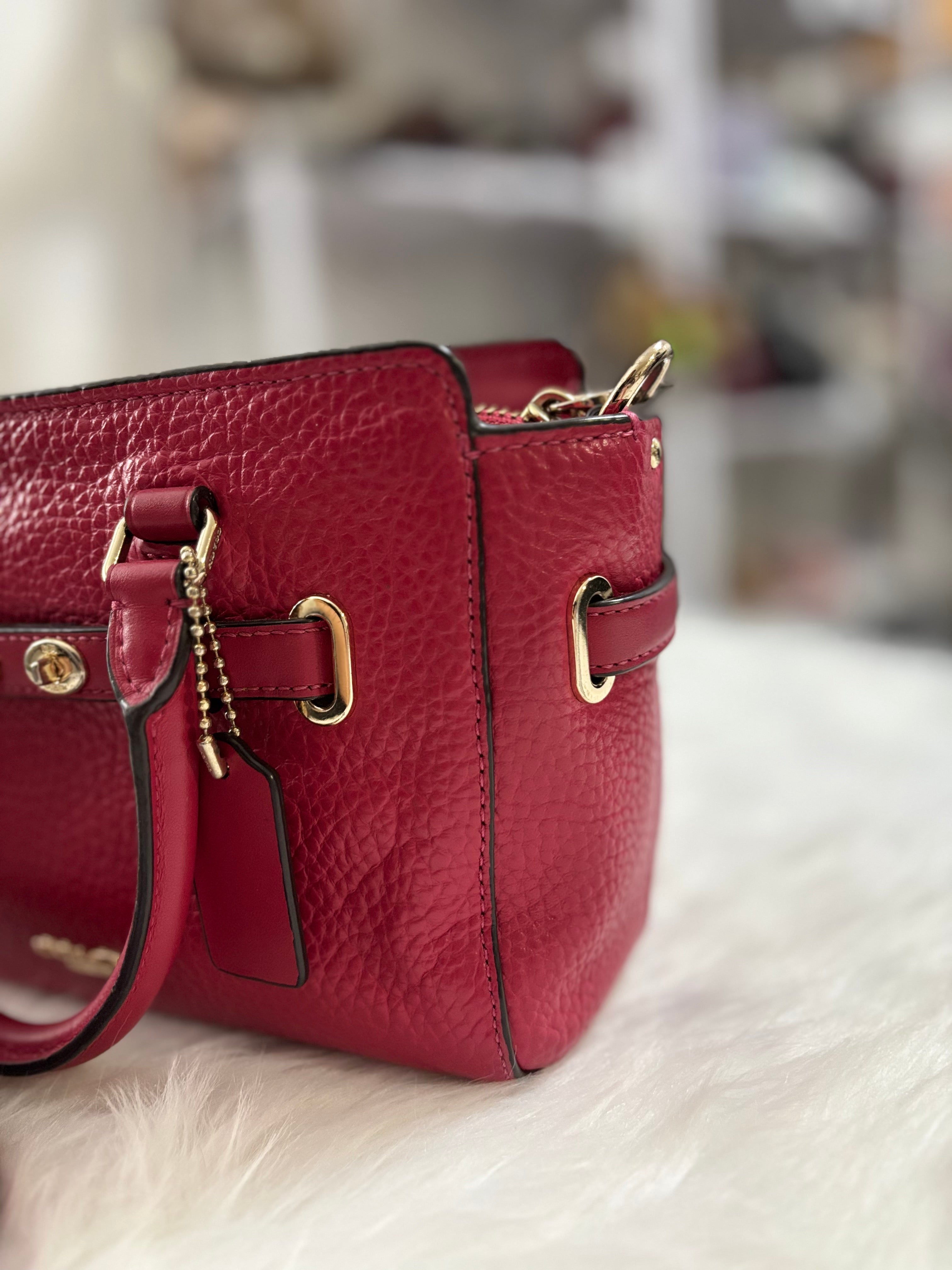 COACH Mini Blake Carryall
