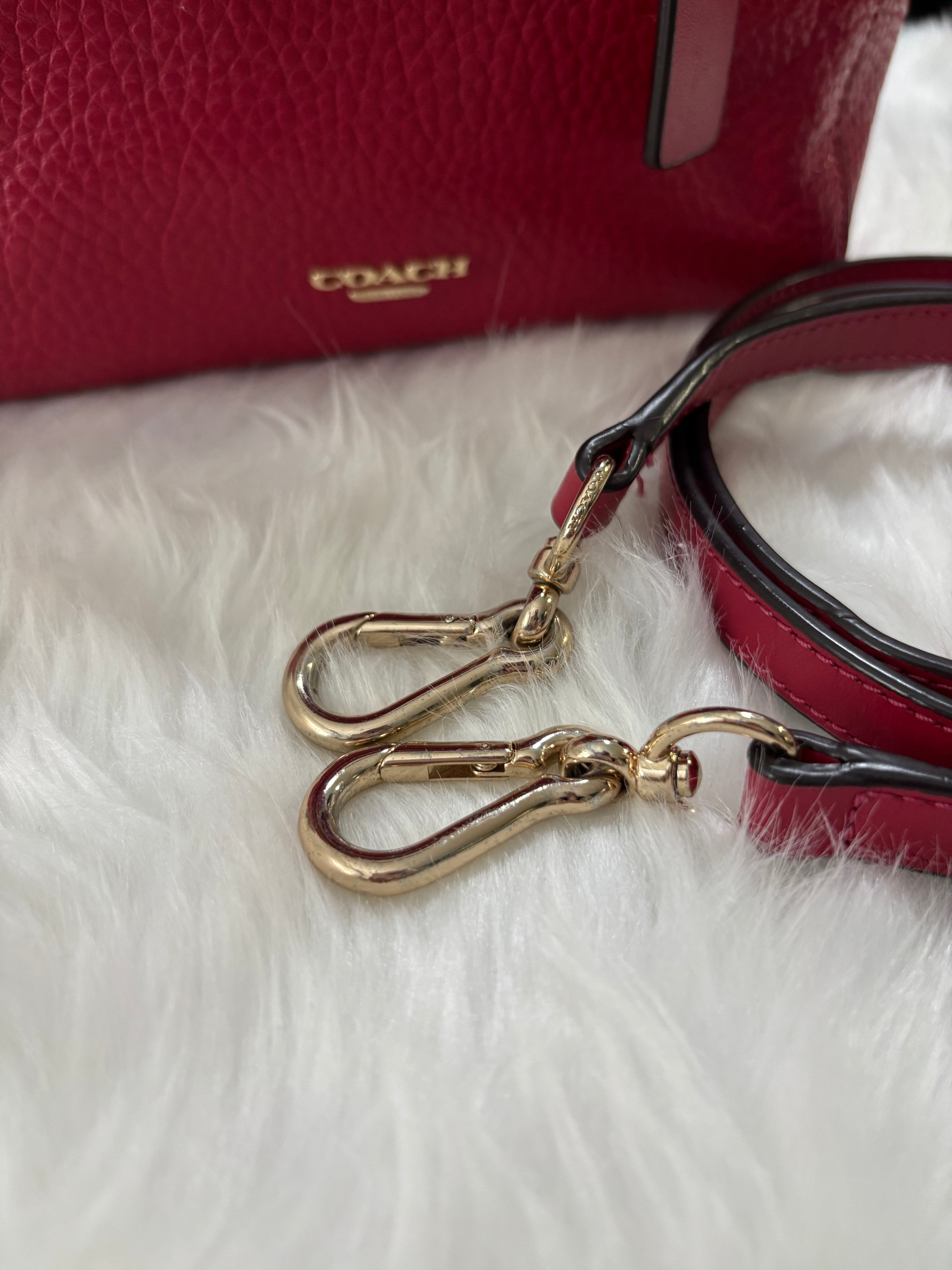 COACH Mini Blake Carryall