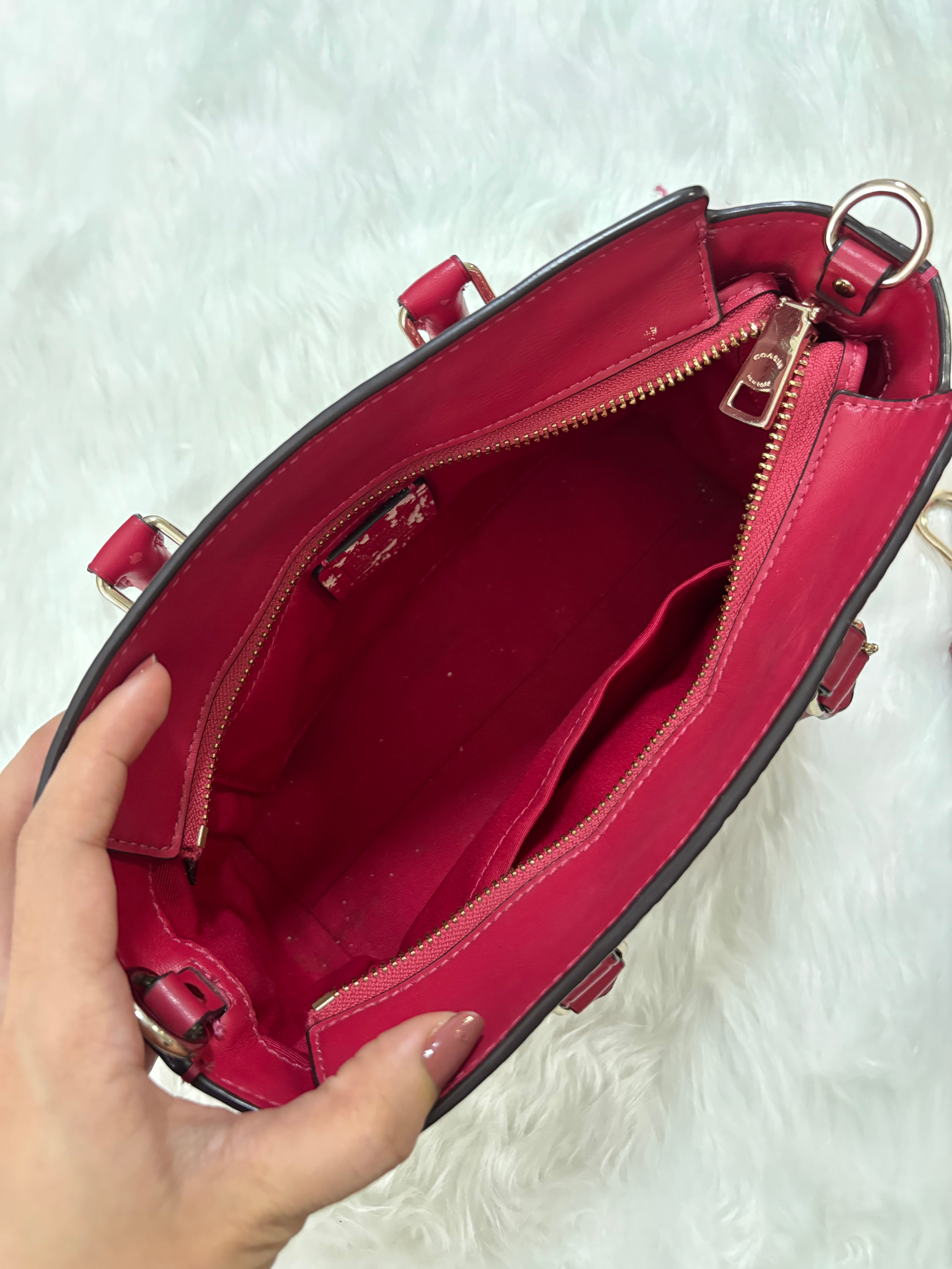 COACH Mini Blake Carryall