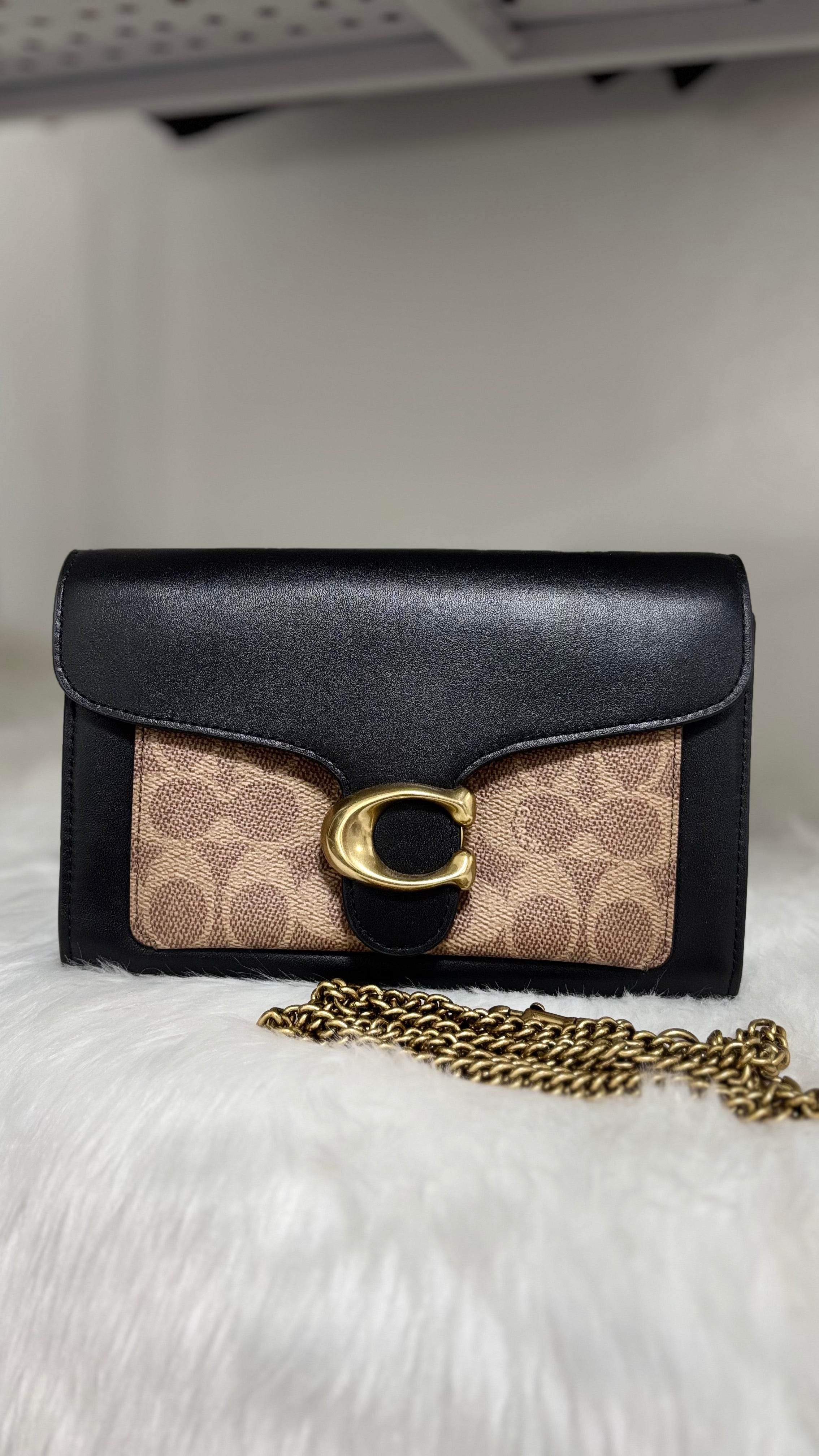 COACH Tabby Chain Clutch in Colorblock Signature Canvas