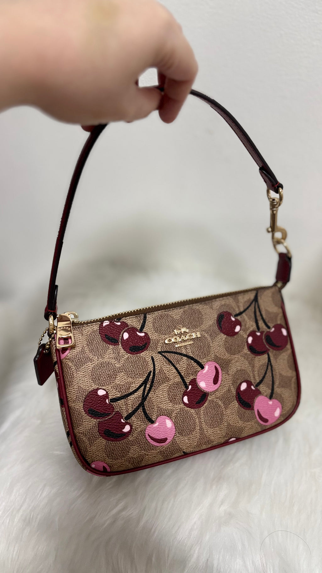 COACH Nolita 19 In Signature Canvas With Cherry Print
