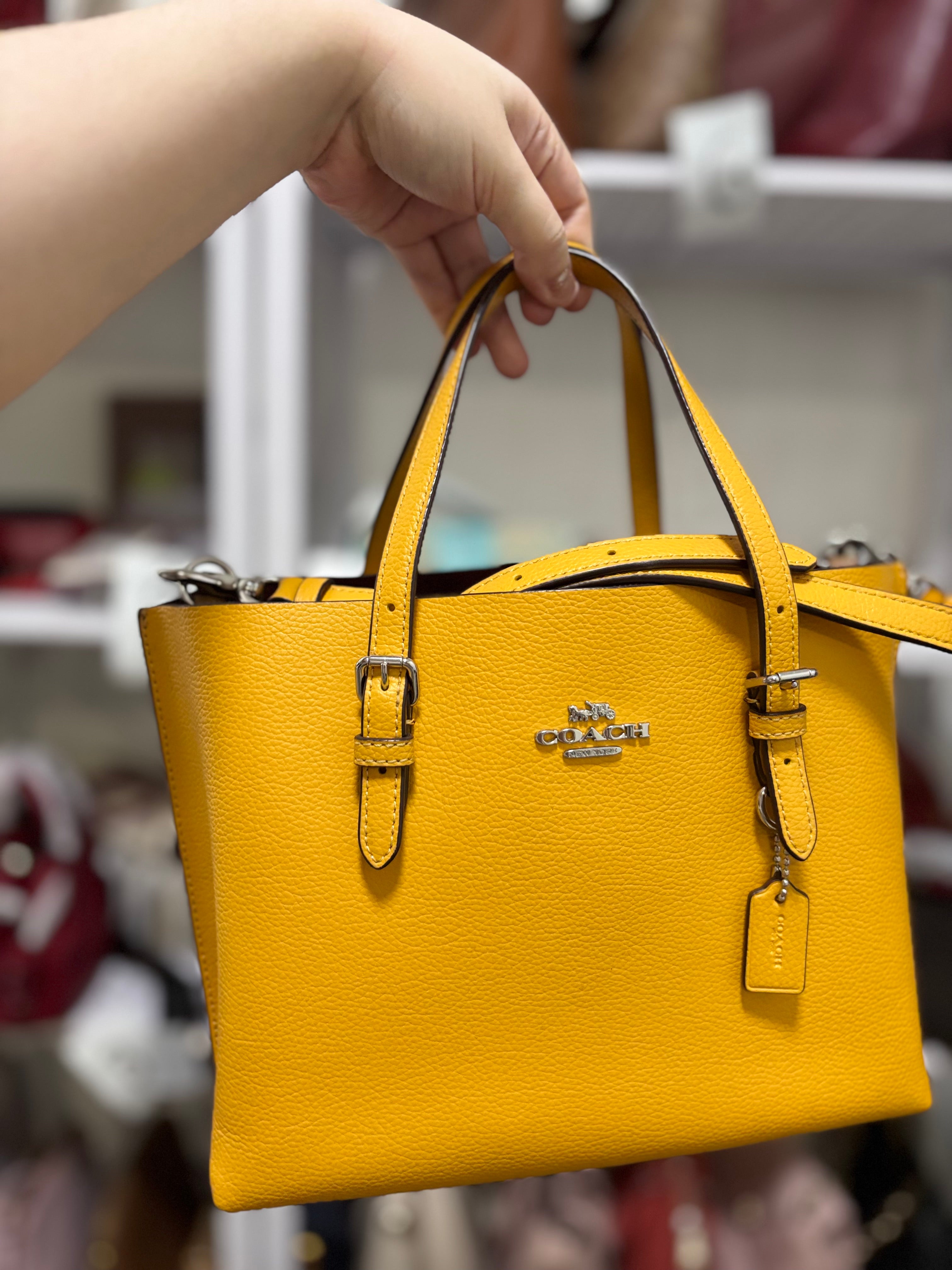 COACH Mollie Tote 25