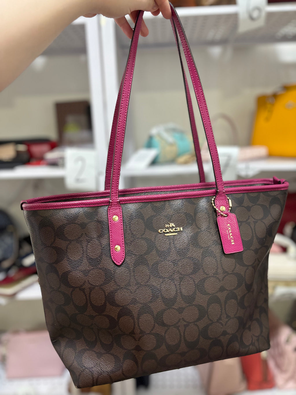 COACH City Zip Tote - Mahogany/Purple