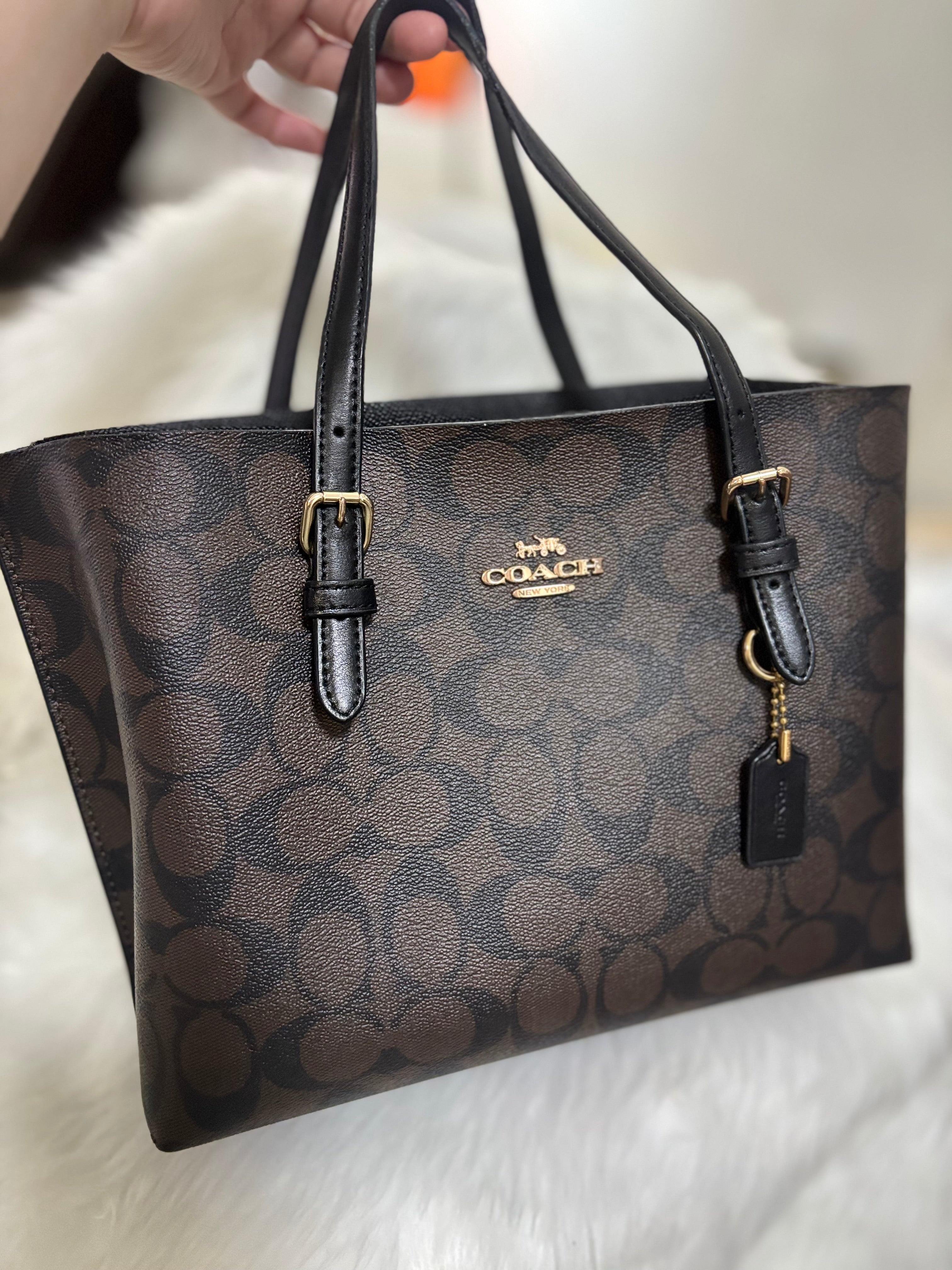 COACH Mollie Tote Bag 25 In Signature Canvas
