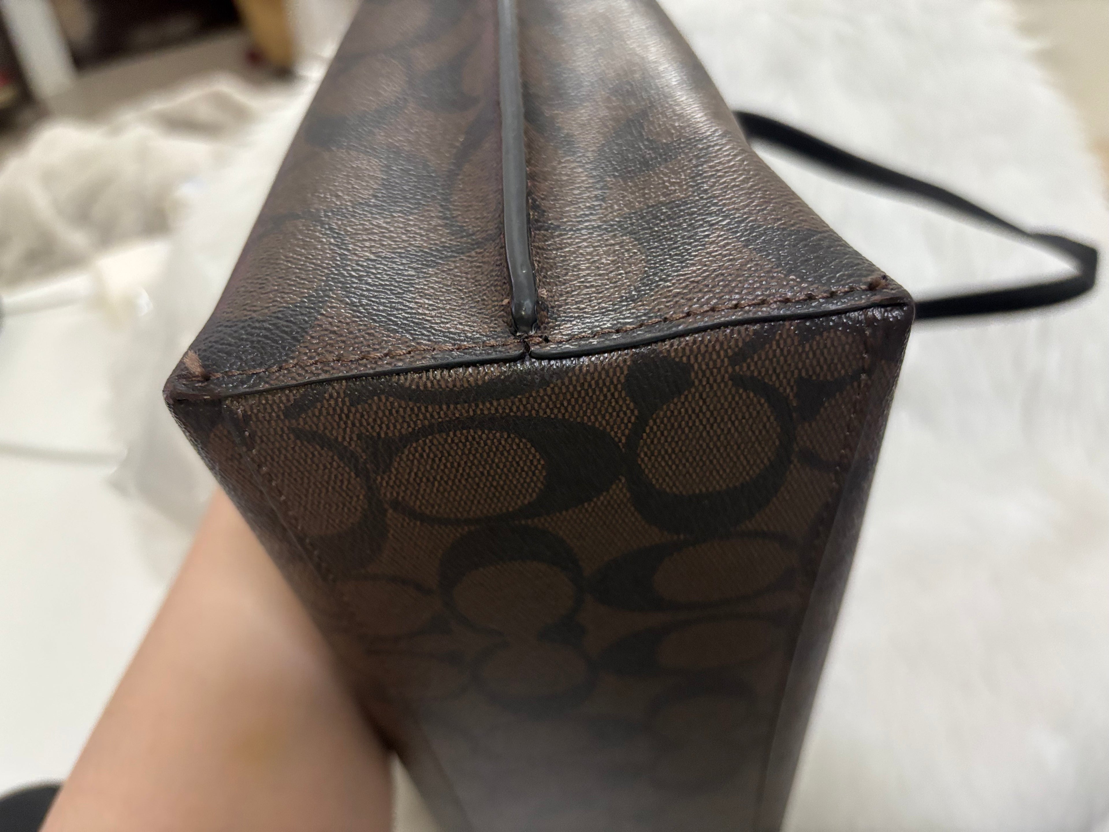 COACH Mollie Tote Bag 25 In Signature Canvas