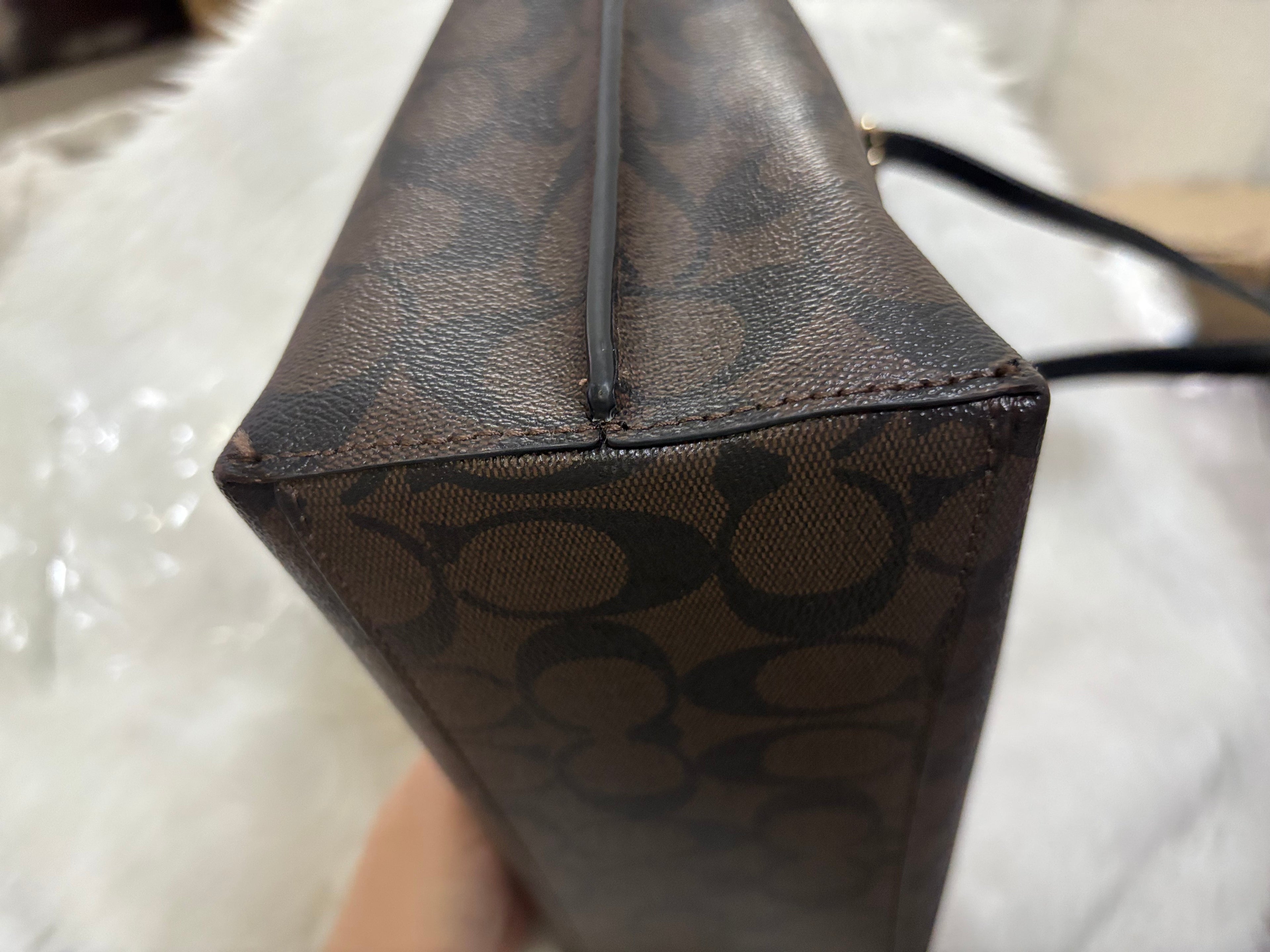 COACH Mollie Tote Bag 25 In Signature Canvas
