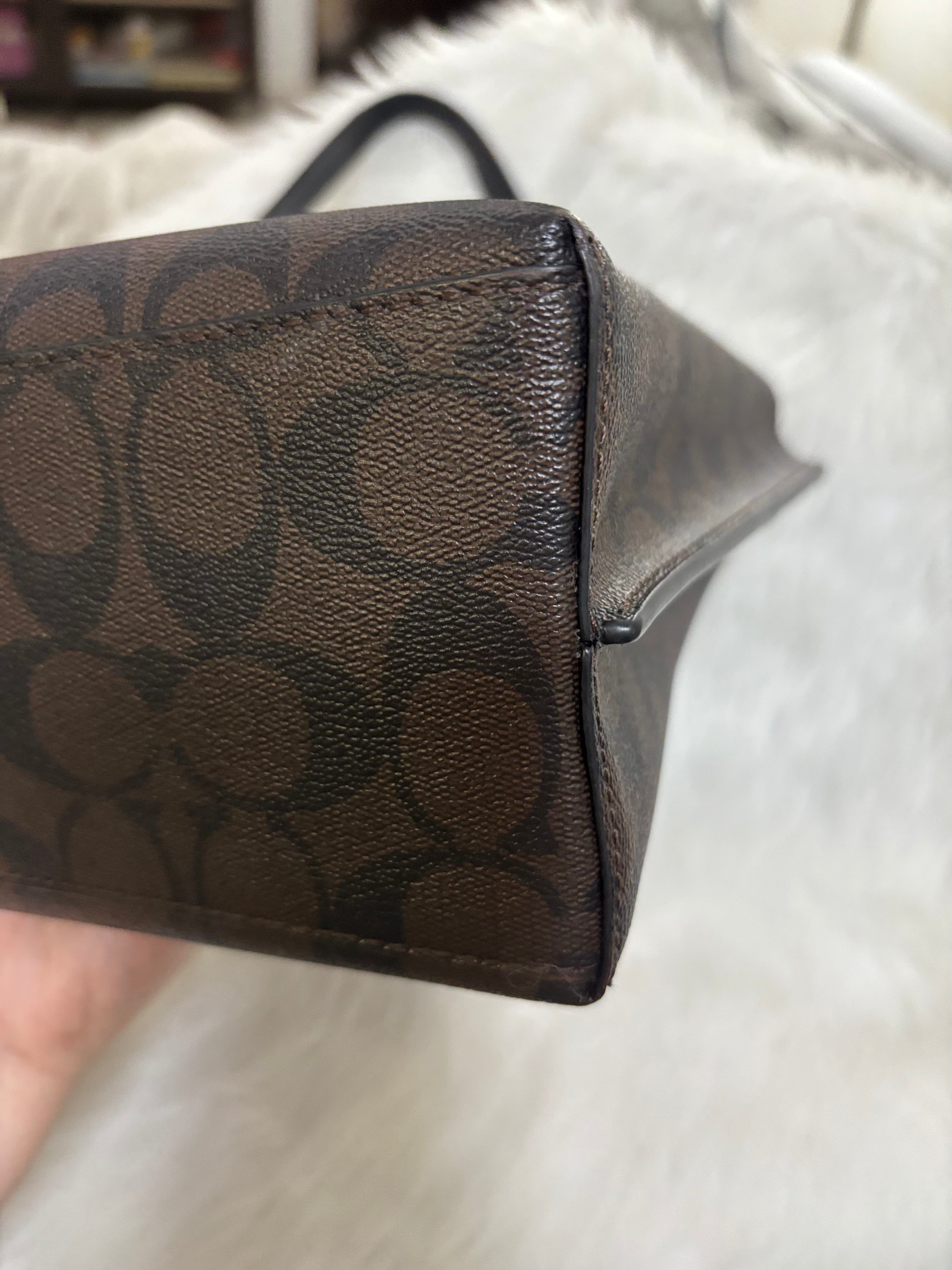 COACH Mollie Tote Bag 25 In Signature Canvas