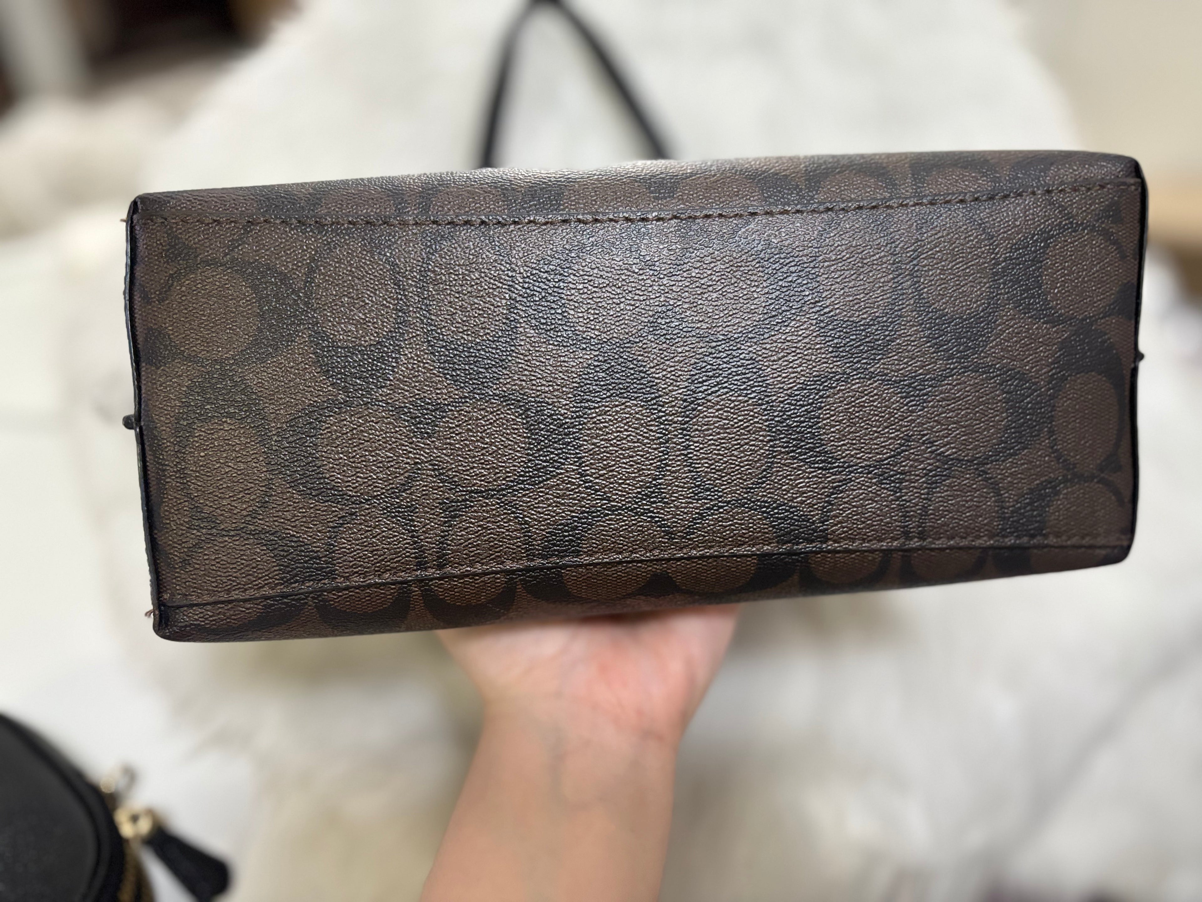 COACH Mollie Tote Bag 25 In Signature Canvas