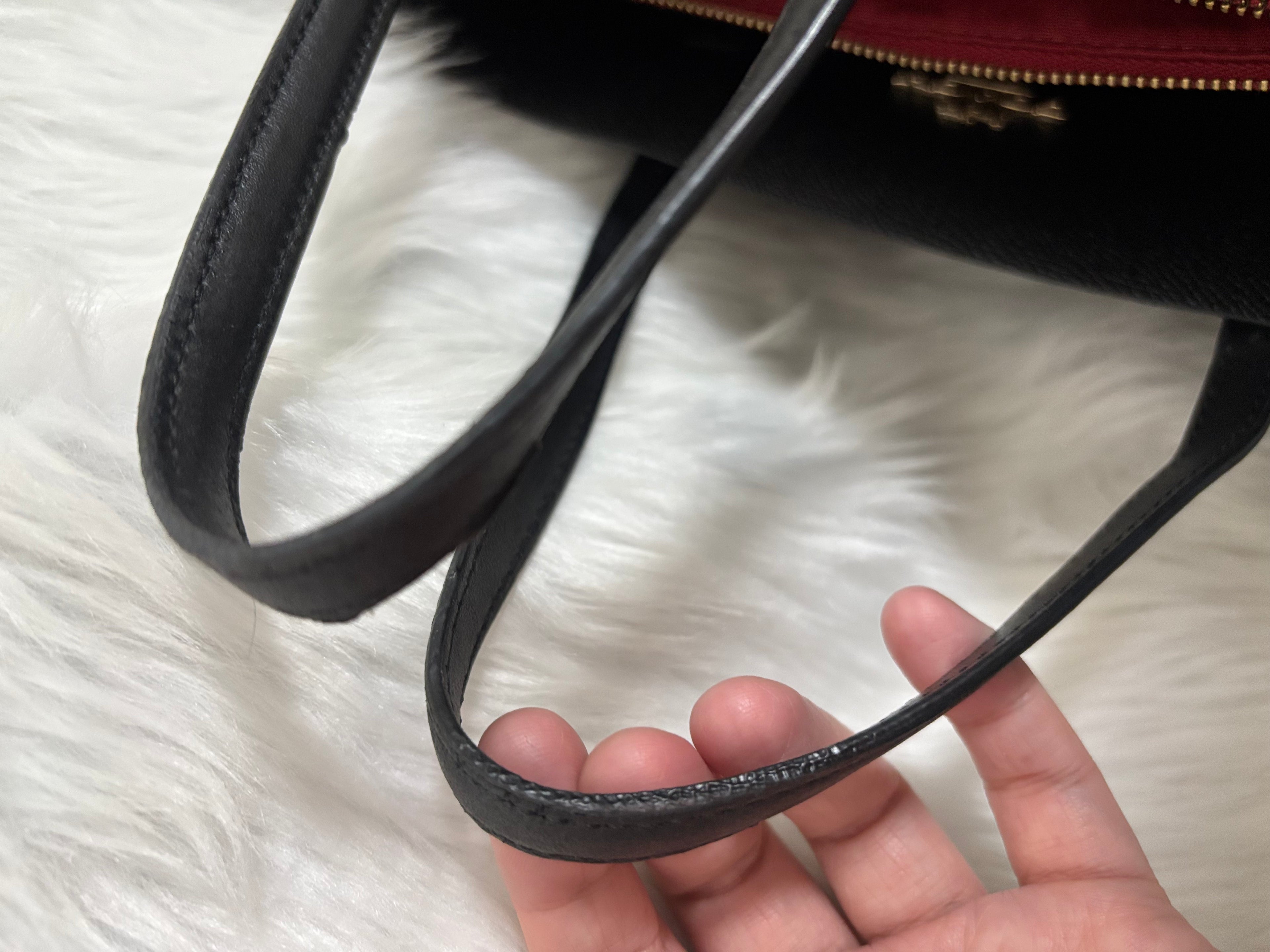 COACH Mollie Tote Bag 25 In Signature Canvas