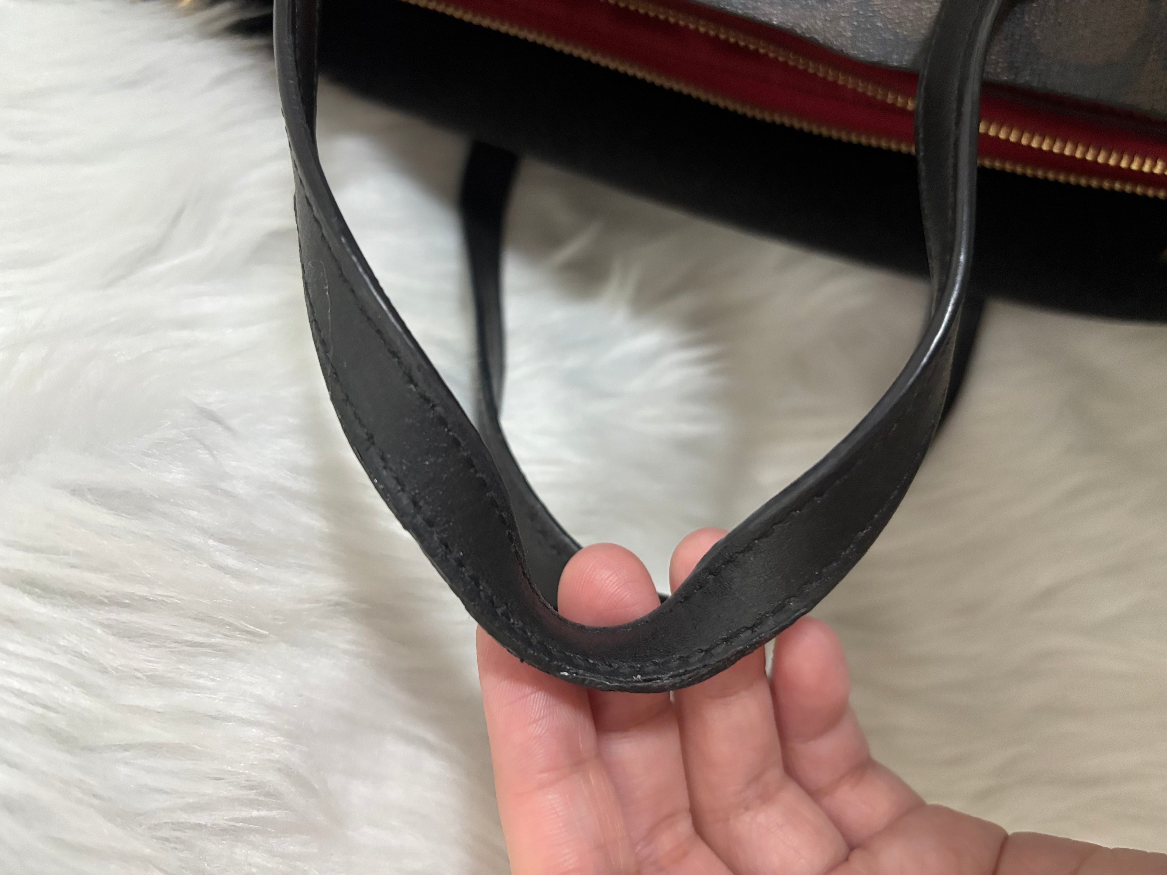 COACH Mollie Tote Bag 25 In Signature Canvas