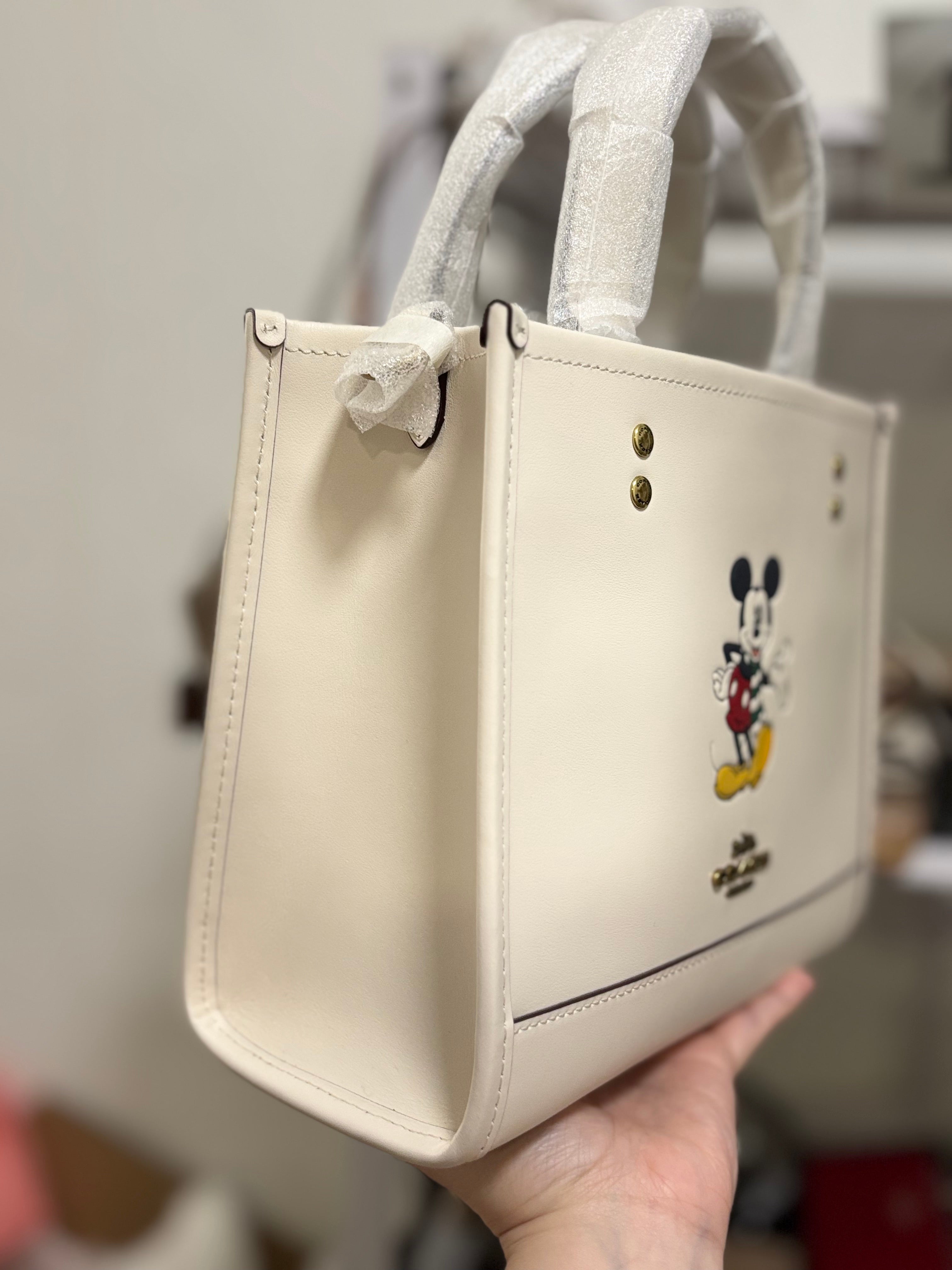COACH Dempsey x Disney Collaboration Shoulder Bag